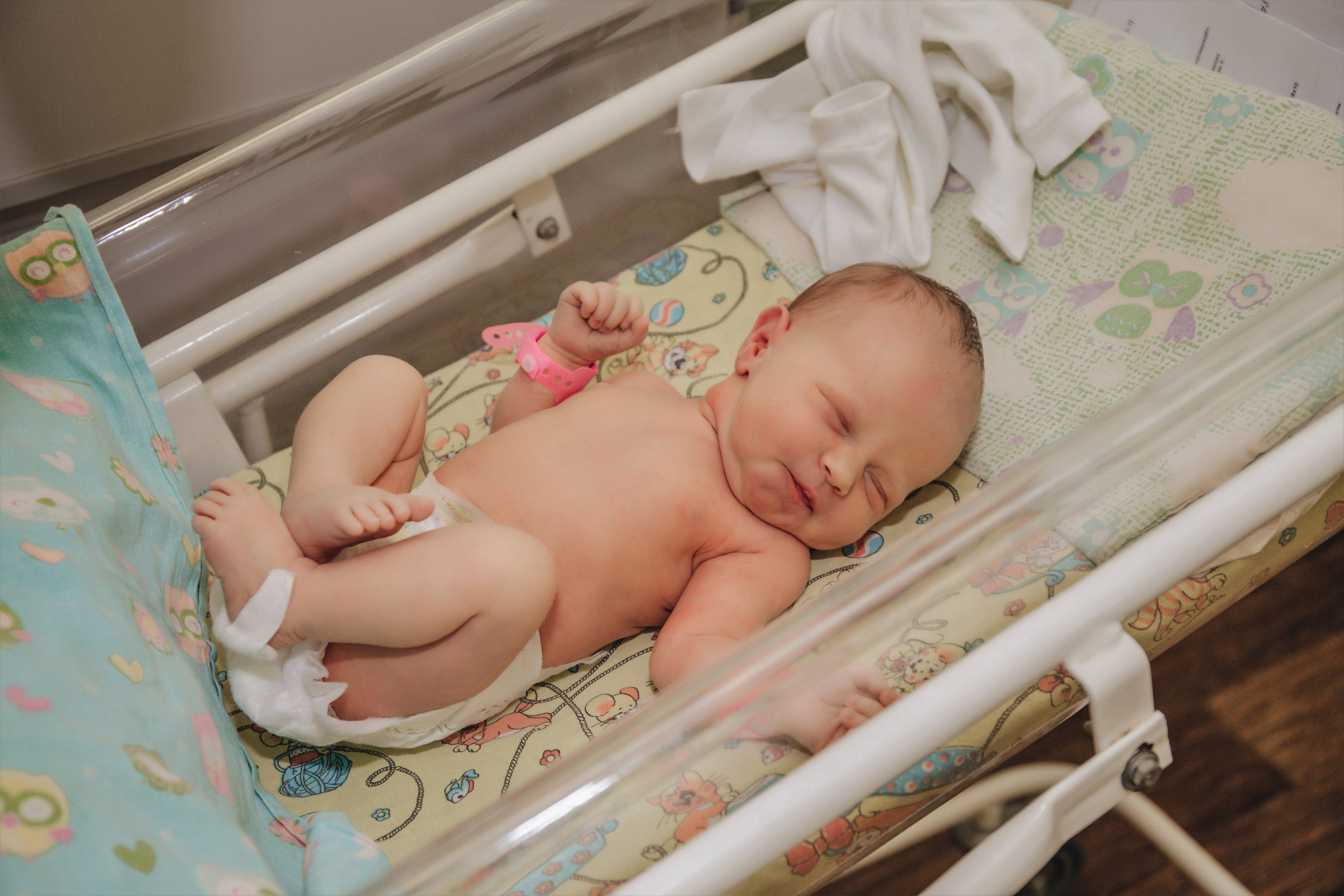 Выписка Даши. Свадебный и семейный фотограф Пушкин Царское Село СПБ Питер Санкт-Петербург и Рязань Ольга Козлова