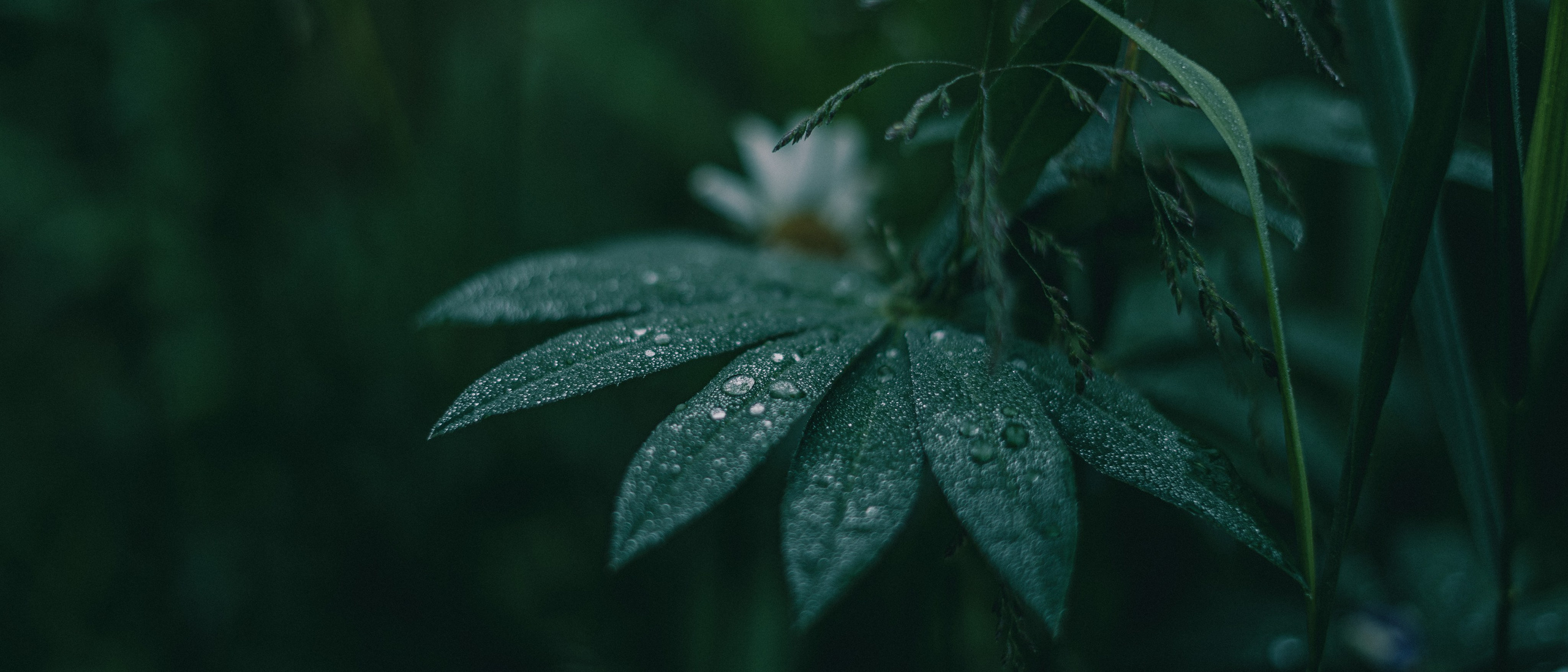 Пейзажи, архитектура, натюрморты. Видеопродакшен | Фотосъёмка | Filimonov & Kirsanova