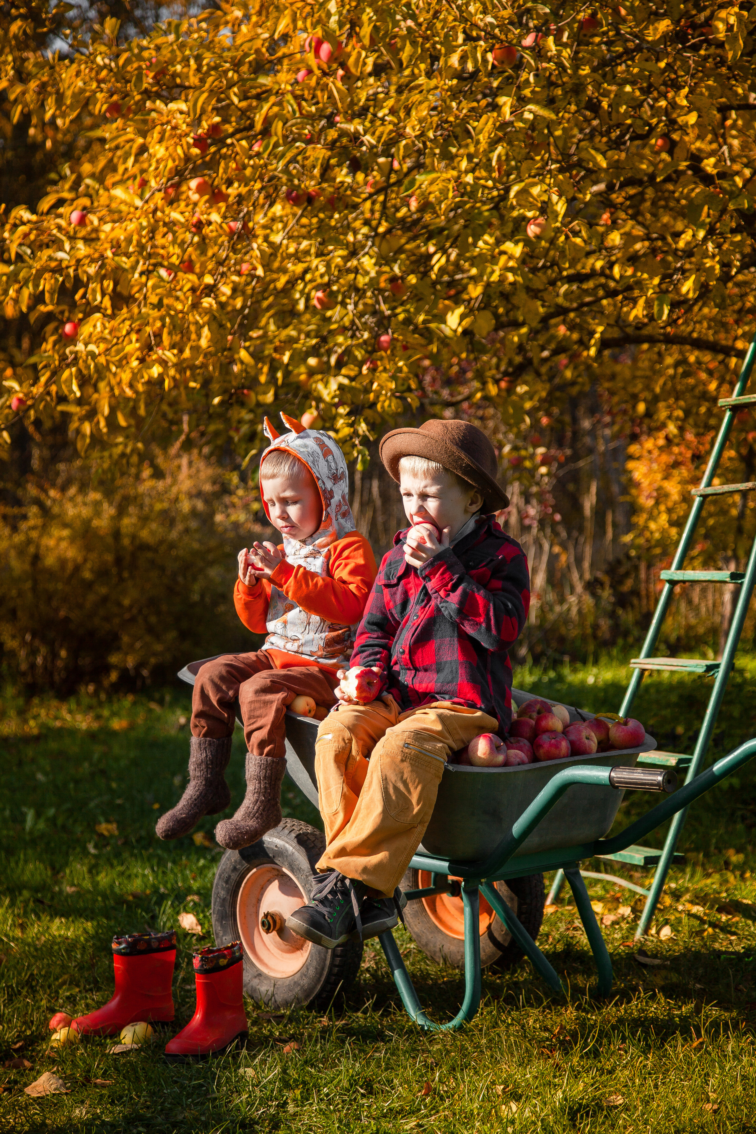 Сбор урожая. Детский и семейный фотограф в Санкт-Петербурге Елизавета Сорокина