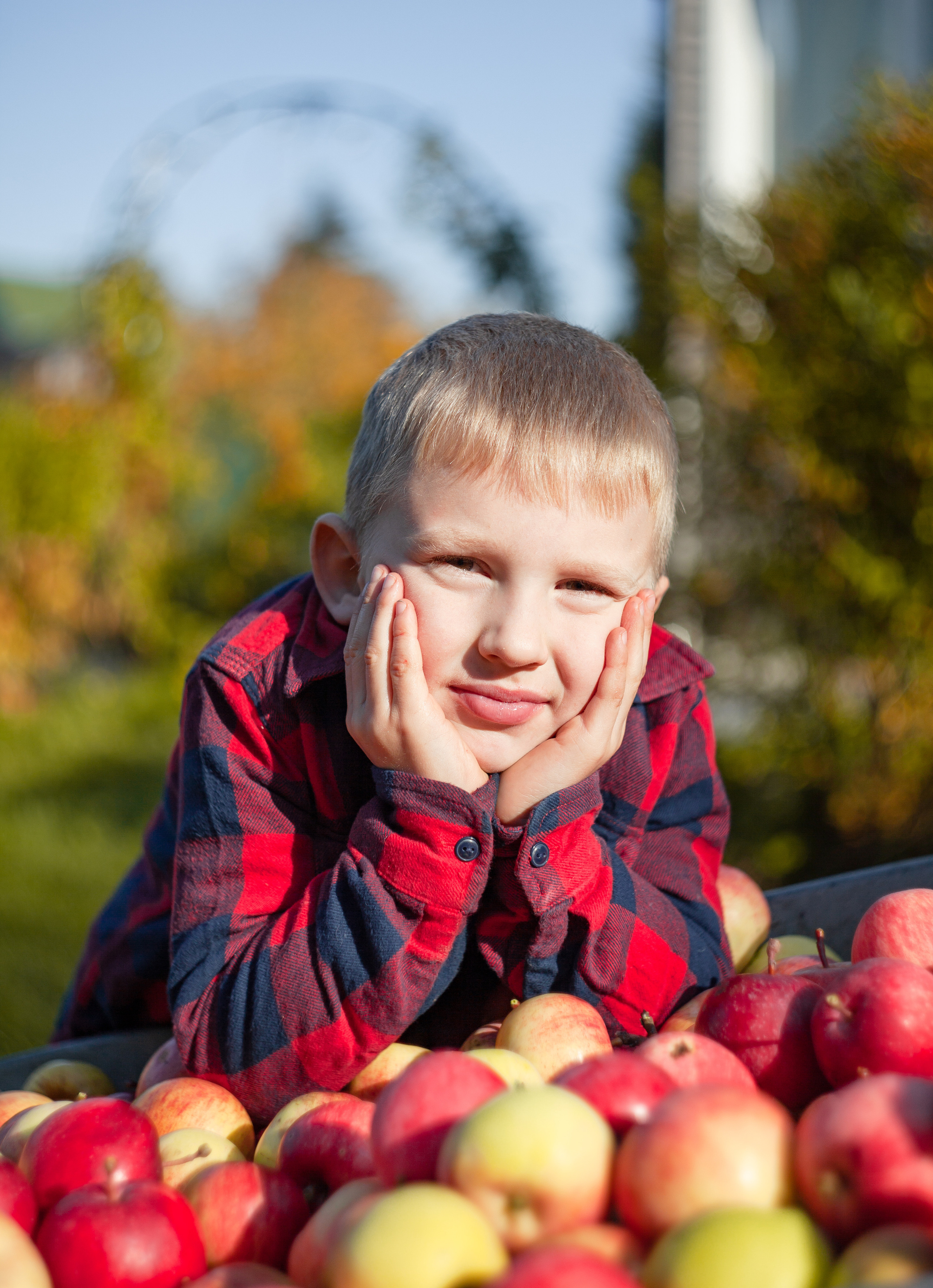 Сбор урожая. Детский и семейный фотограф в Санкт-Петербурге Елизавета Сорокина