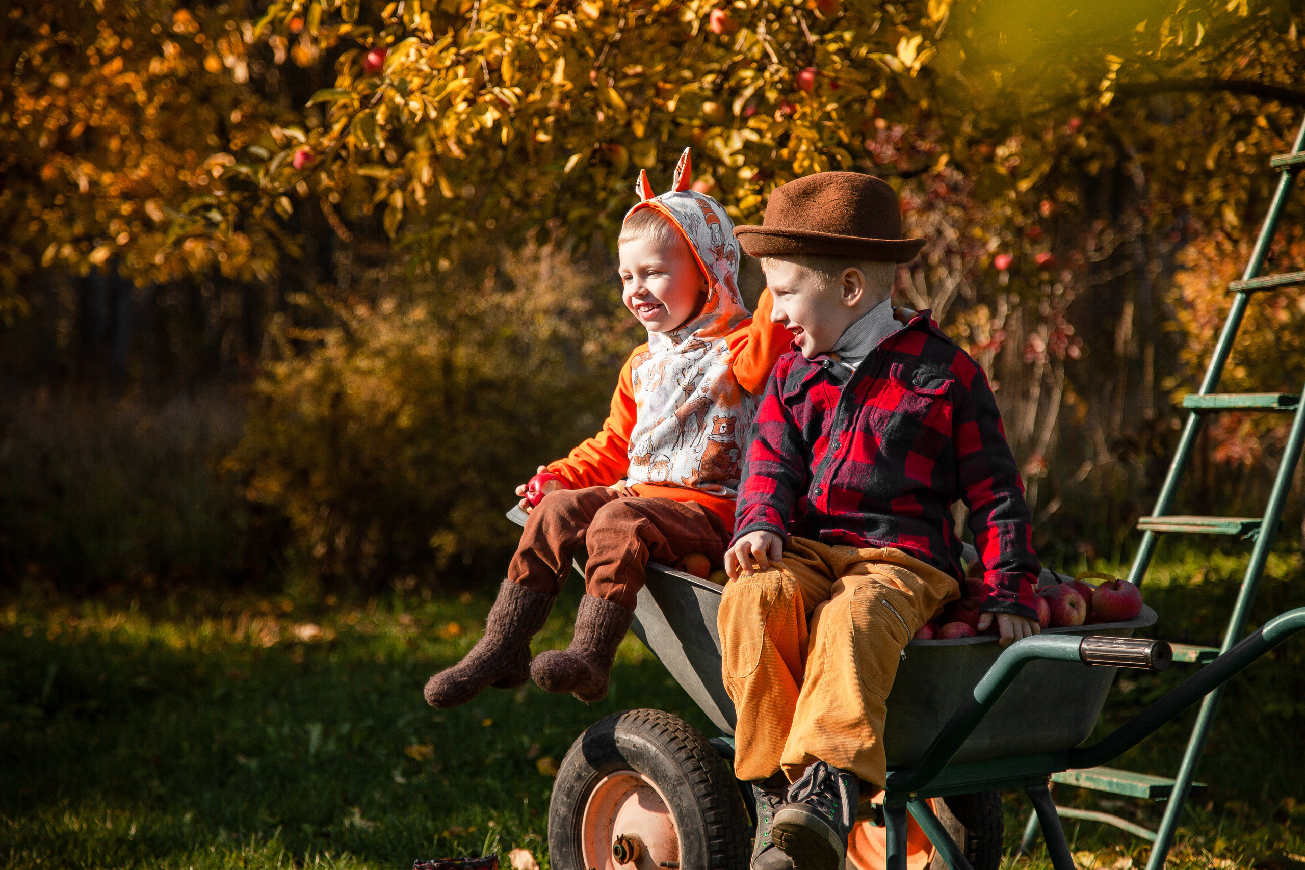 Сбор урожая. Детский и семейный фотограф в Санкт-Петербурге Елизавета Сорокина