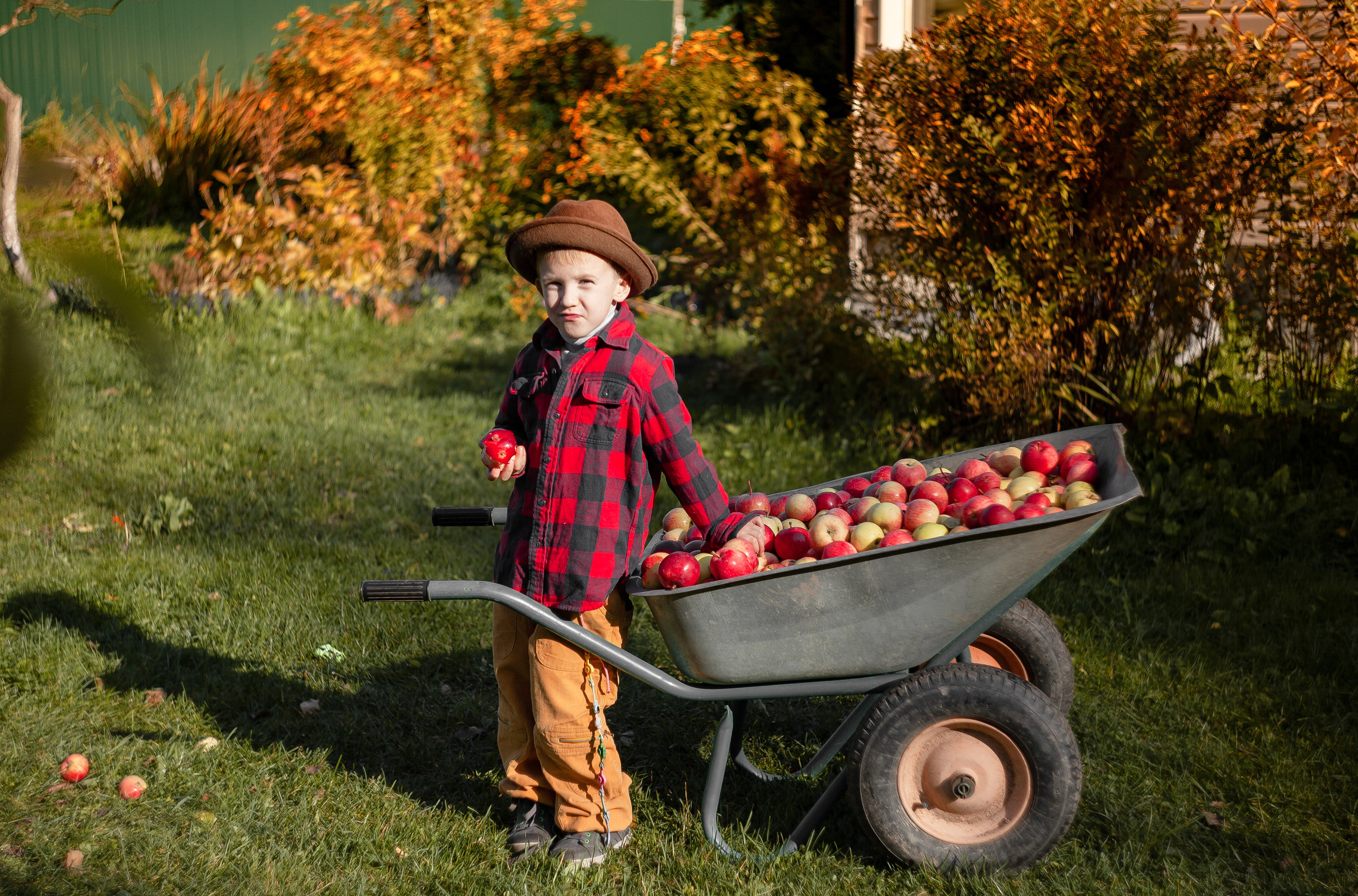 Сбор урожая. Детский и семейный фотограф в Санкт-Петербурге Елизавета Сорокина