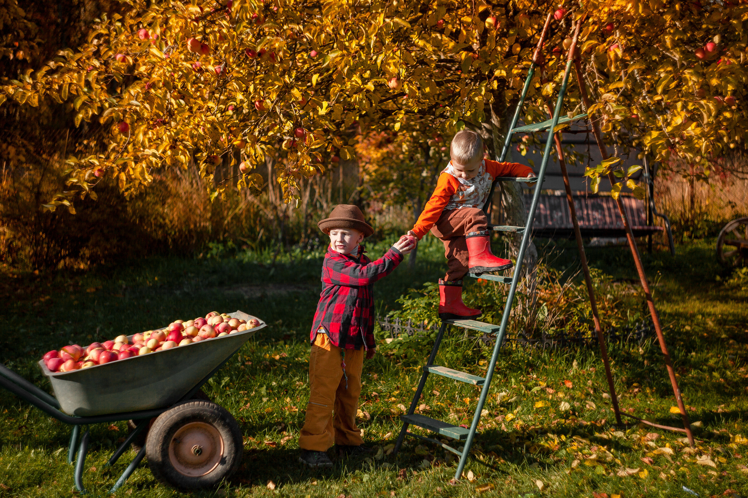Сбор урожая. Детский и семейный фотограф в Санкт-Петербурге Елизавета Сорокина
