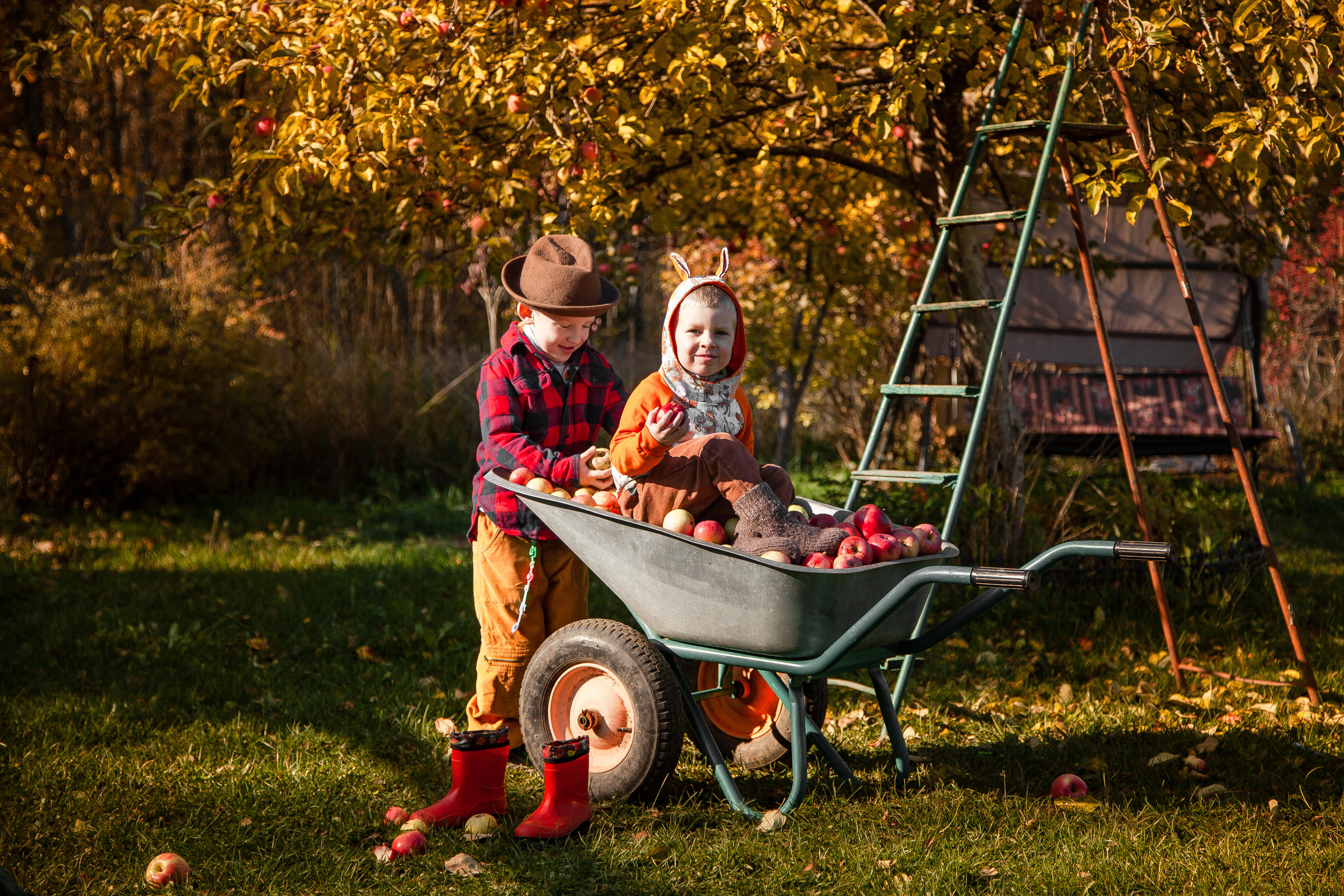 Сбор урожая. Детский и семейный фотограф в Санкт-Петербурге Елизавета Сорокина