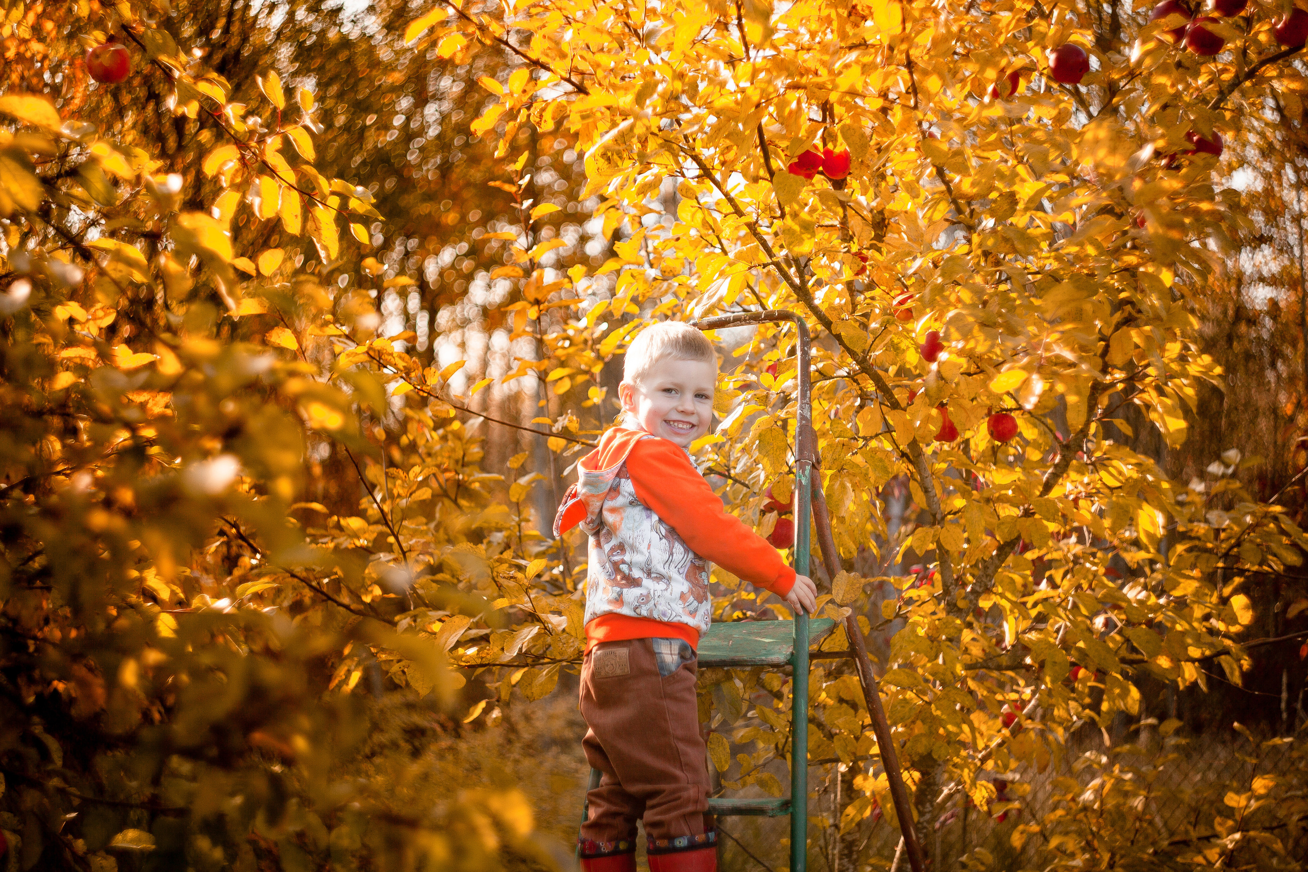 Детская фотосессия. Детский и семейный фотограф в Санкт-Петербурге Елизавета Сорокина