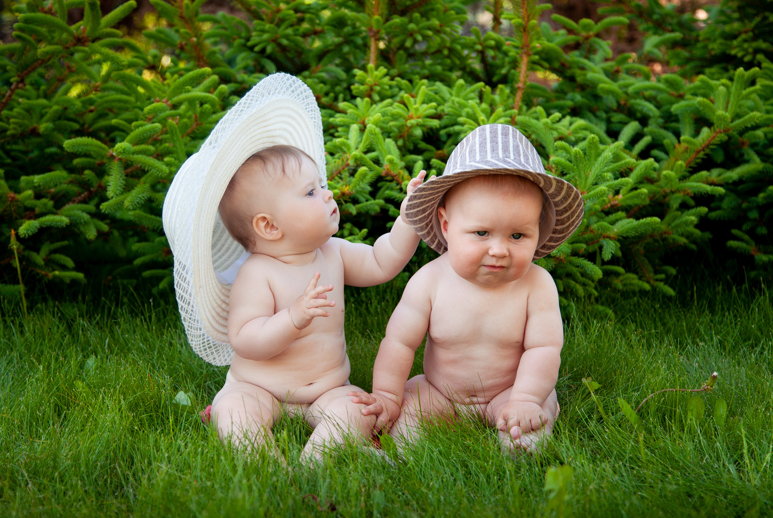 Сладкая парочка. Детский и семейный фотограф в Санкт-Петербурге Елизавета Сорокина
