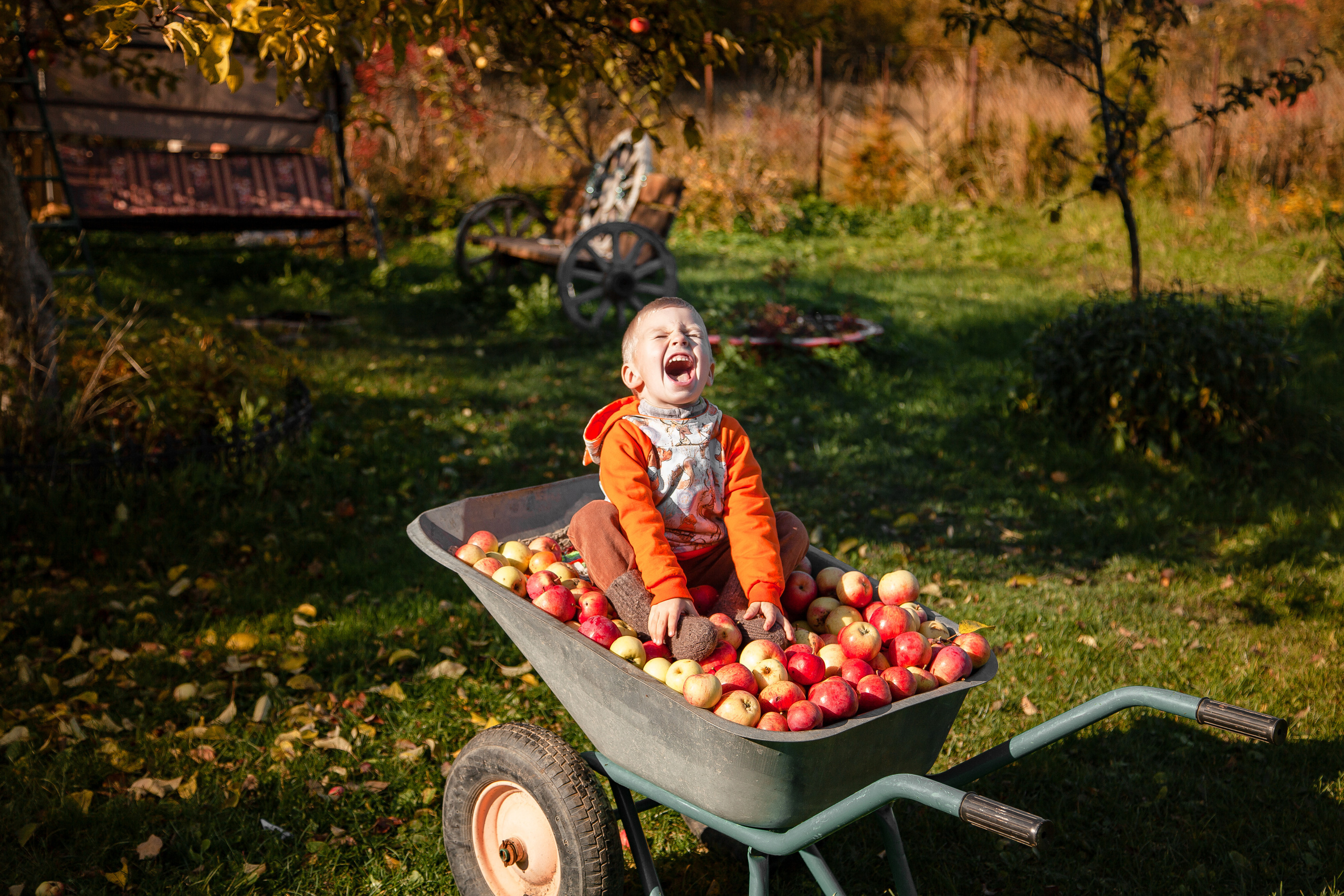 Сбор урожая. Детский и семейный фотограф в Санкт-Петербурге Елизавета Сорокина