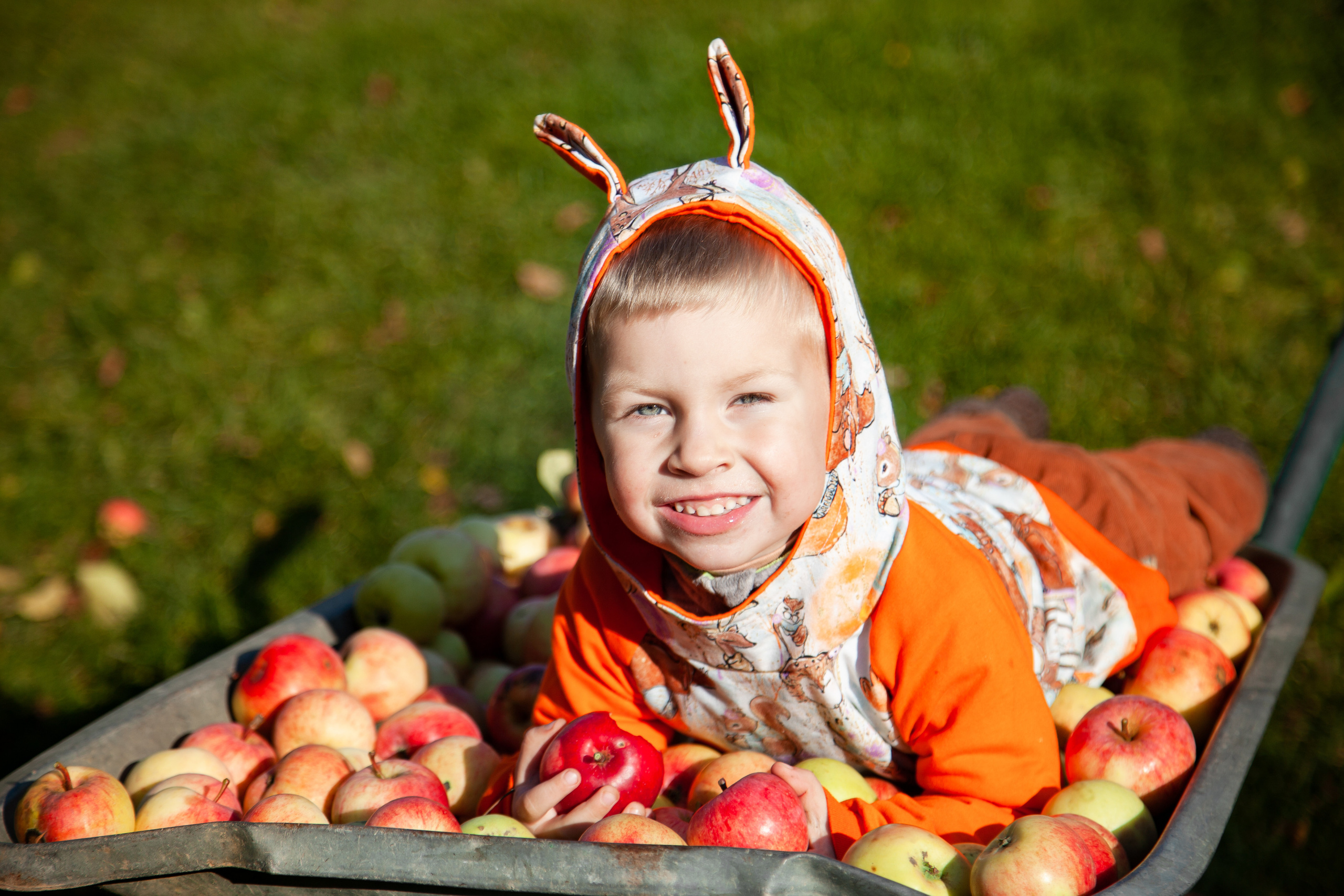 Сбор урожая. Детский и семейный фотограф в Санкт-Петербурге Елизавета Сорокина
