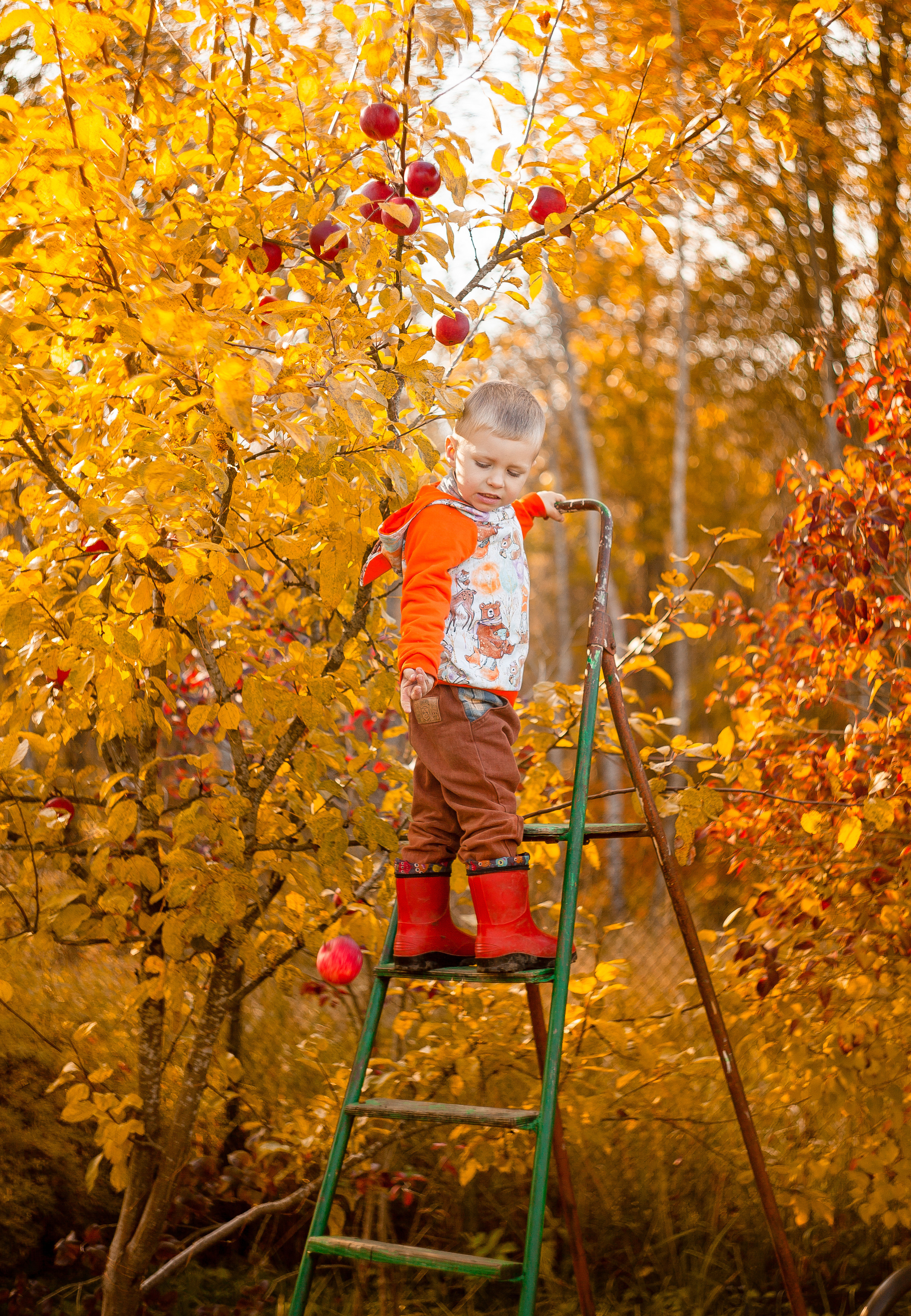 Сбор урожая. Детский и семейный фотограф в Санкт-Петербурге Елизавета Сорокина