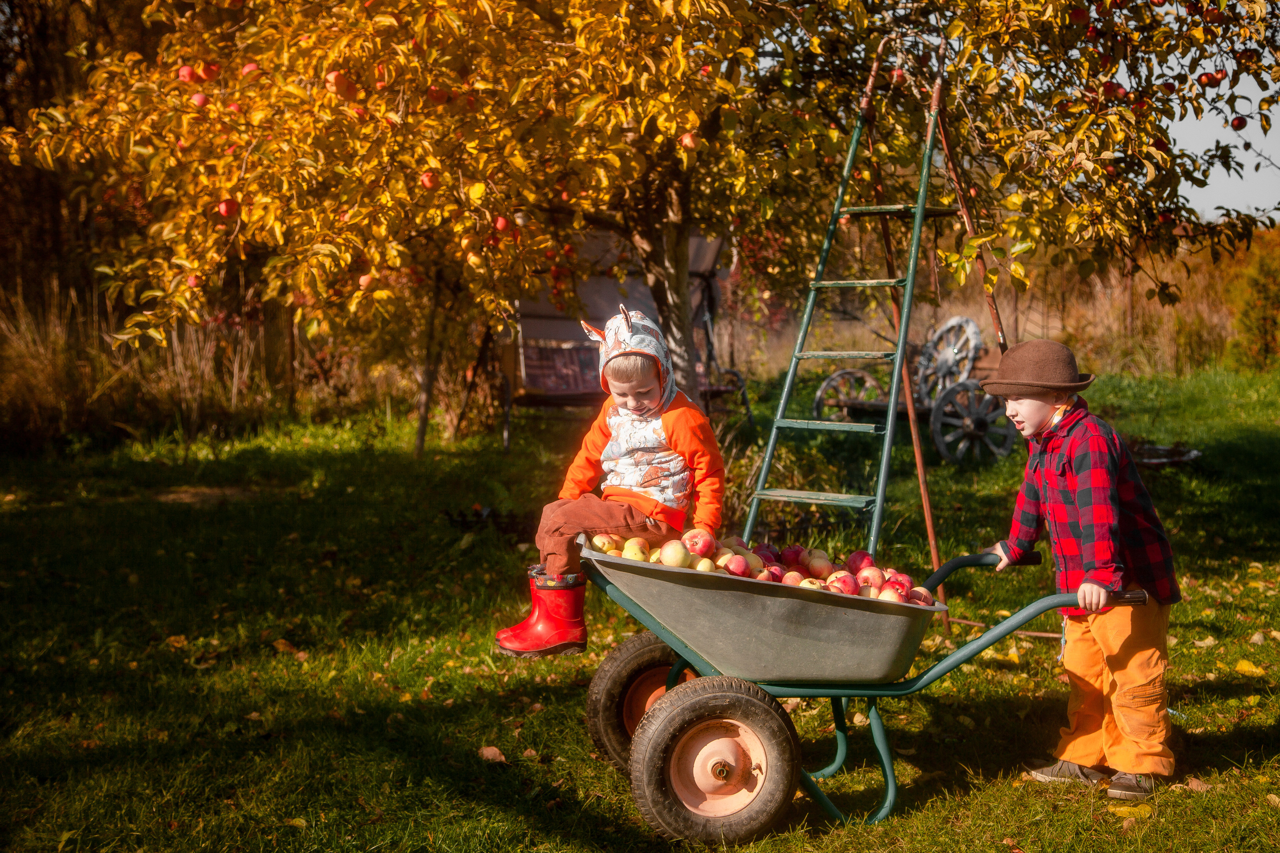 Сбор урожая. Детский и семейный фотограф в Санкт-Петербурге Елизавета Сорокина