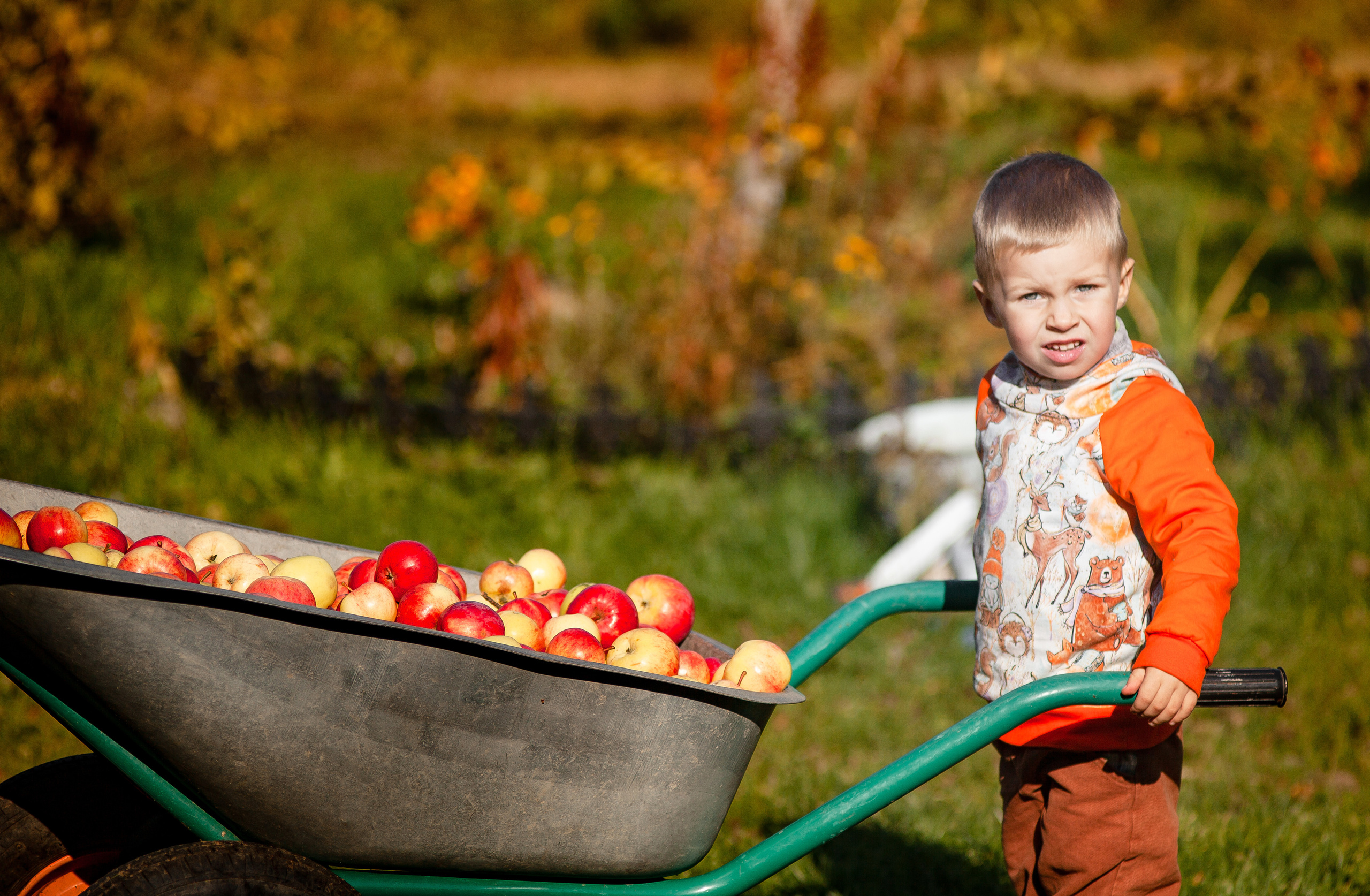 Сбор урожая. Детский и семейный фотограф в Санкт-Петербурге Елизавета Сорокина