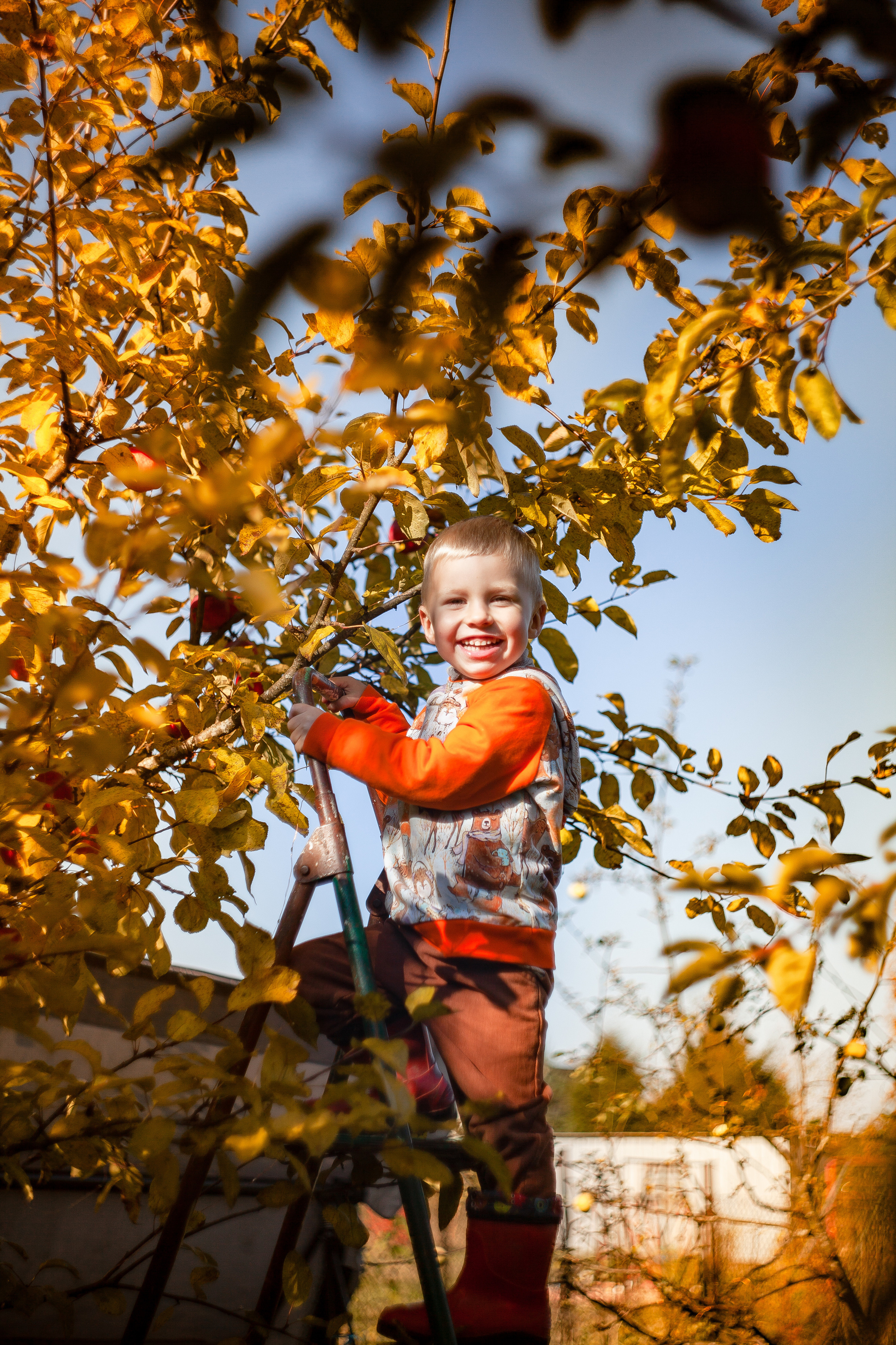 Сбор урожая. Детский и семейный фотограф в Санкт-Петербурге Елизавета Сорокина