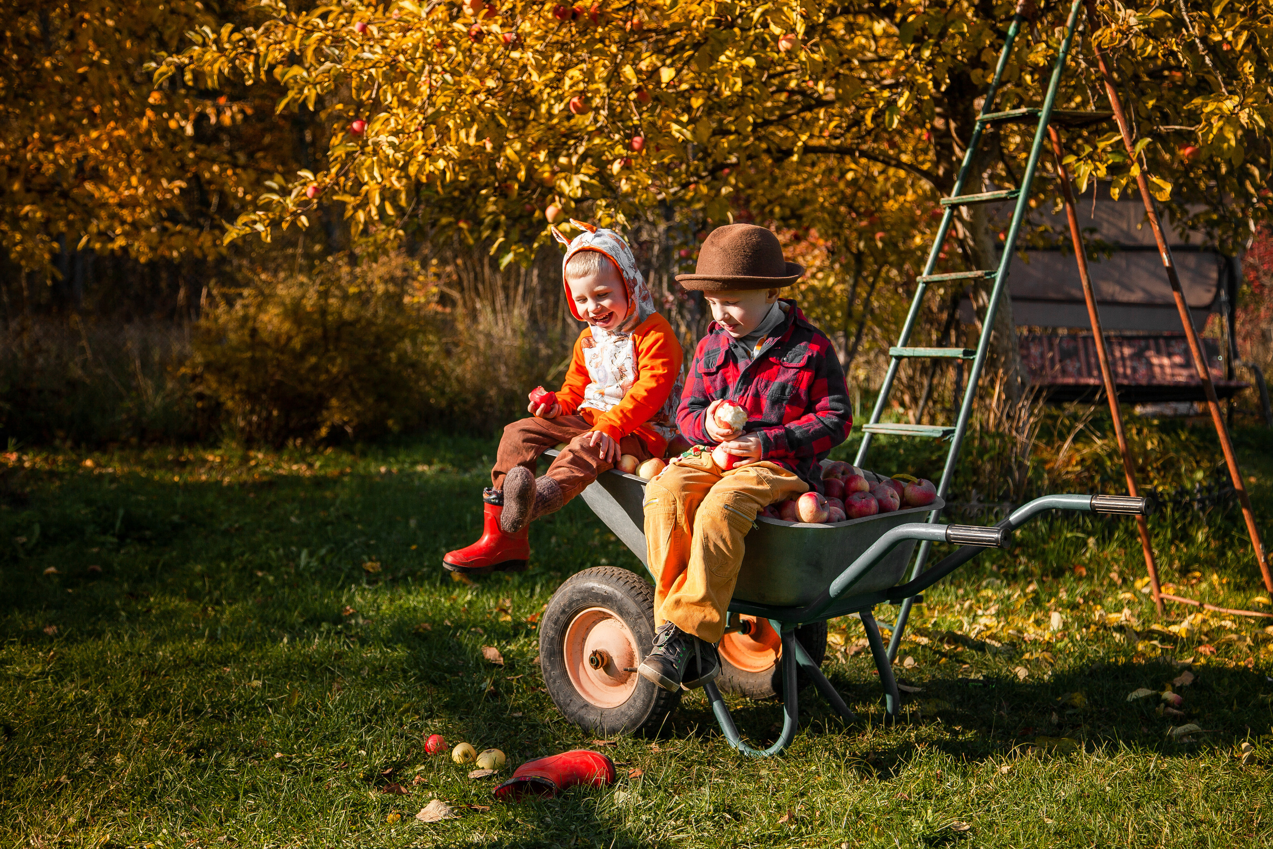 Сбор урожая. Детский и семейный фотограф в Санкт-Петербурге Елизавета Сорокина