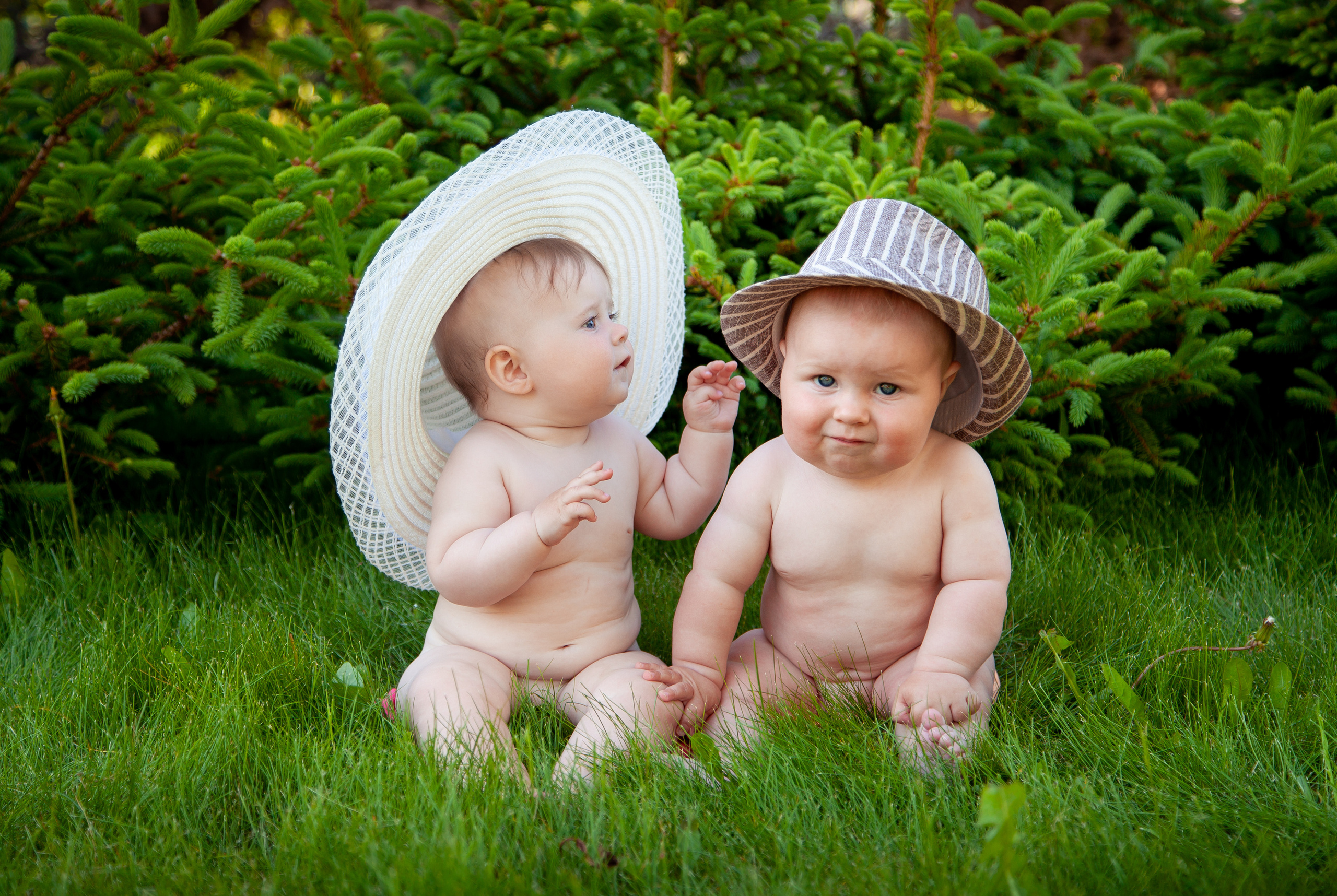 Сладкая парочка. Детский и семейный фотограф в Санкт-Петербурге Елизавета Сорокина