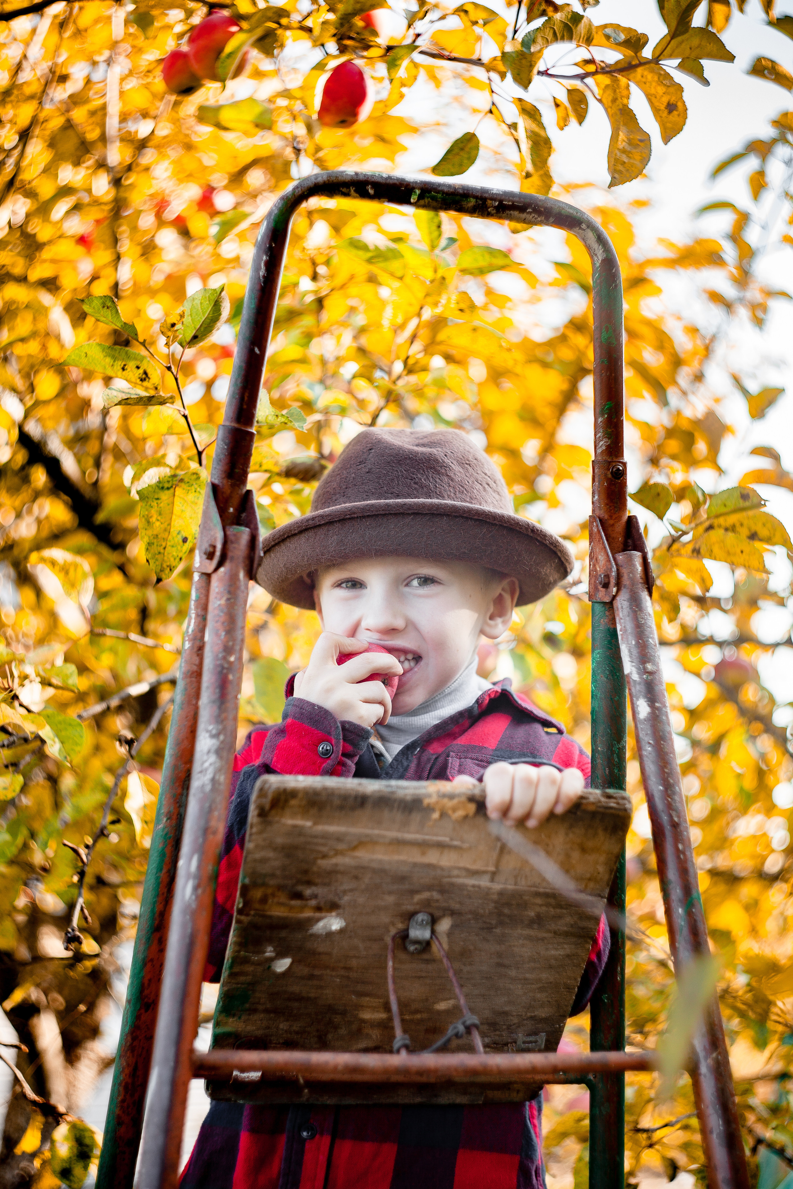 Сбор урожая. Детский и семейный фотограф в Санкт-Петербурге Елизавета Сорокина