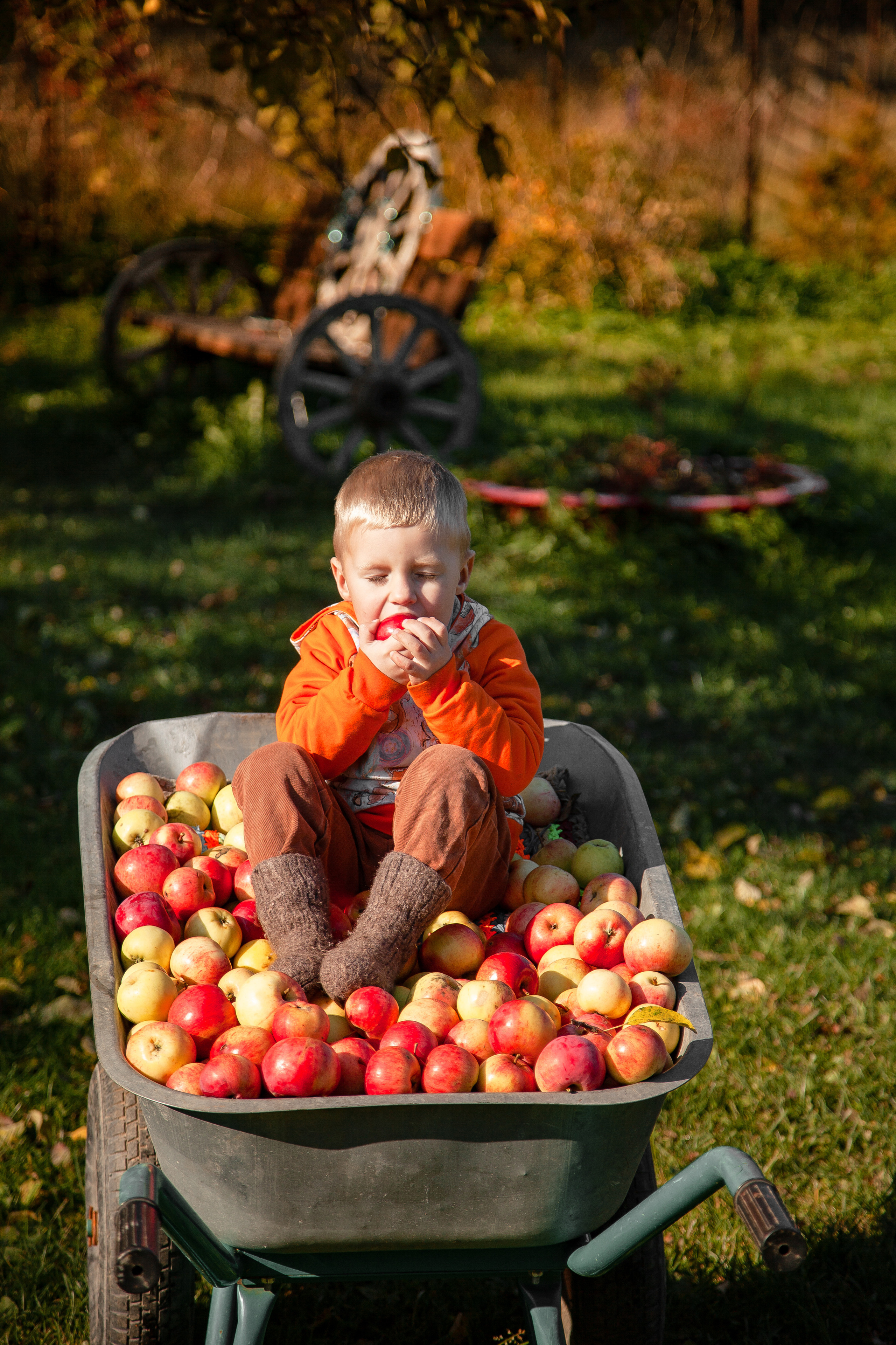 Сбор урожая. Детский и семейный фотограф в Санкт-Петербурге Елизавета Сорокина