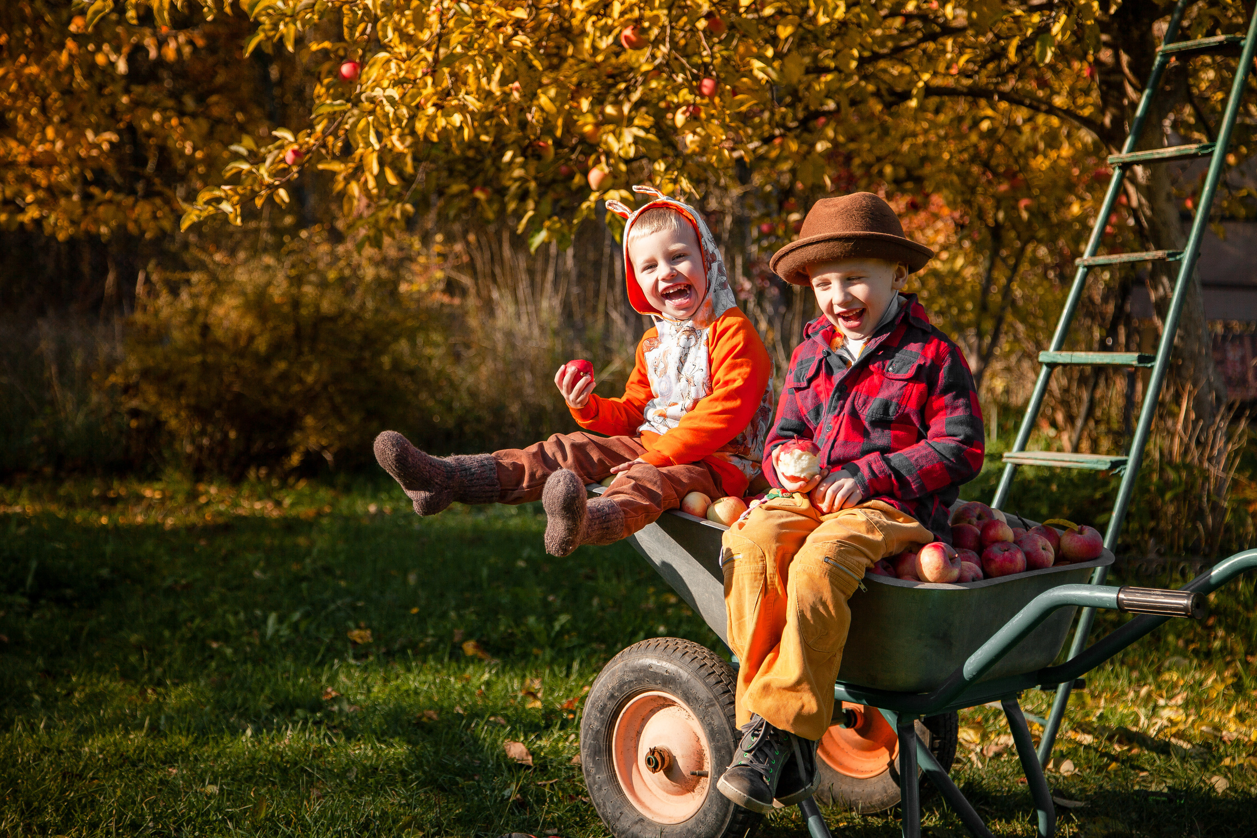 Сбор урожая. Детский и семейный фотограф в Санкт-Петербурге Елизавета Сорокина