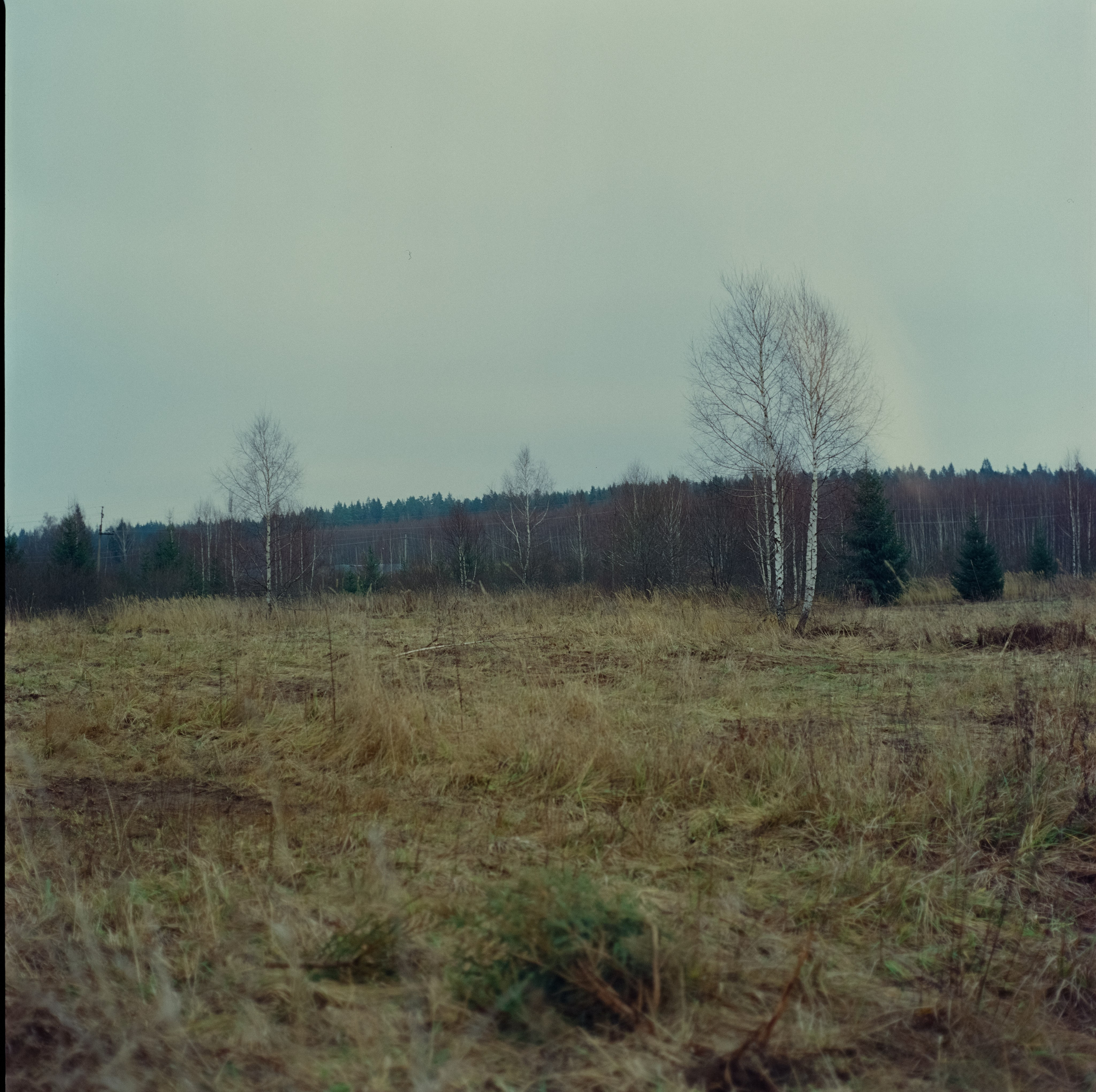 Kowa Super 66 / Kowa 85 mm f2.8 + Kowa 55 mm f3.5 / Kodak Ektachrome E