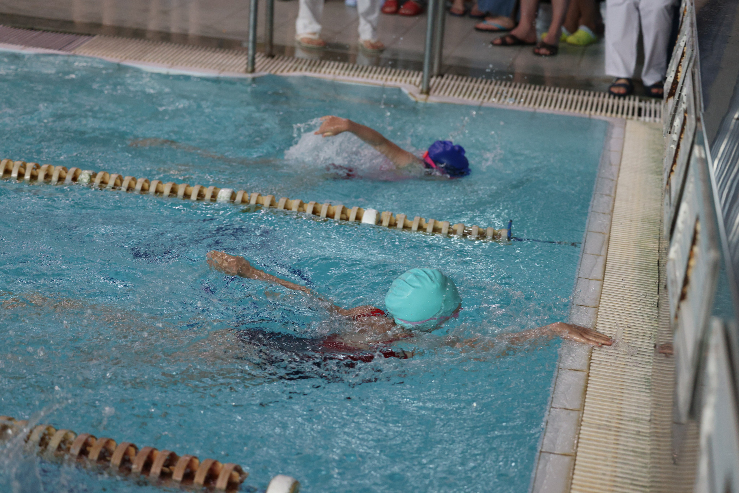 Веселый дельфин. Плавание. Дети 8-9 лет. Фотограф Александр Заломаев