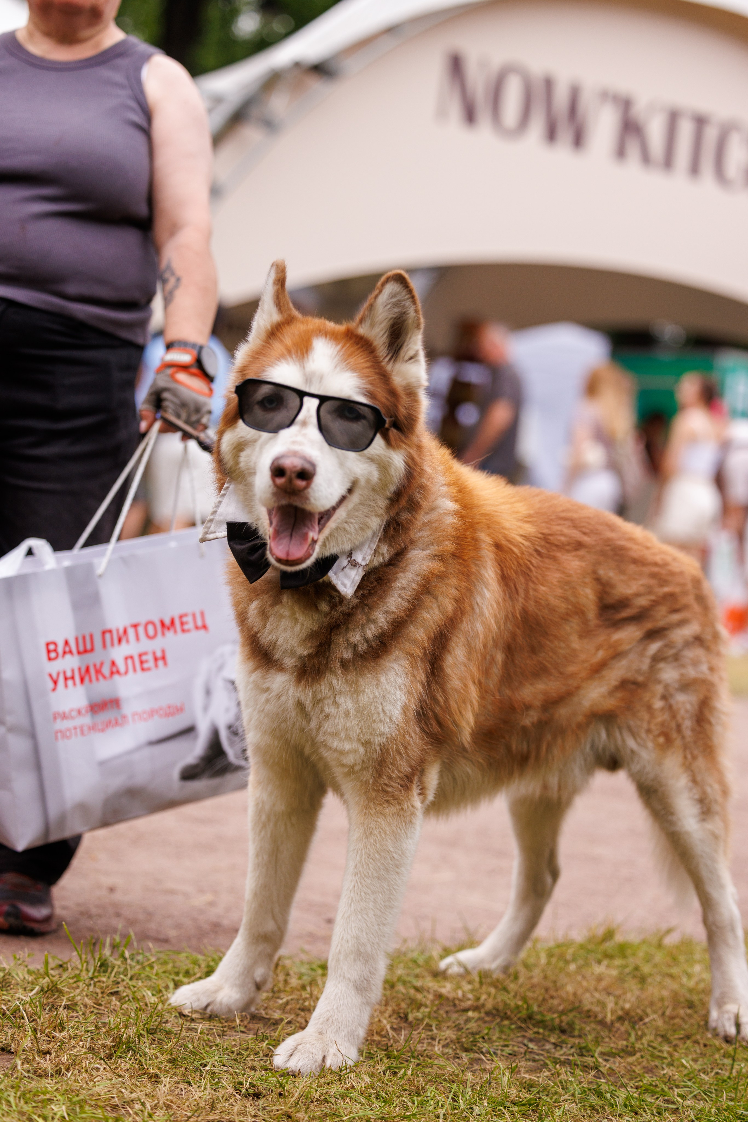 PetShopDays2026. Фотограф Александр Заломаев