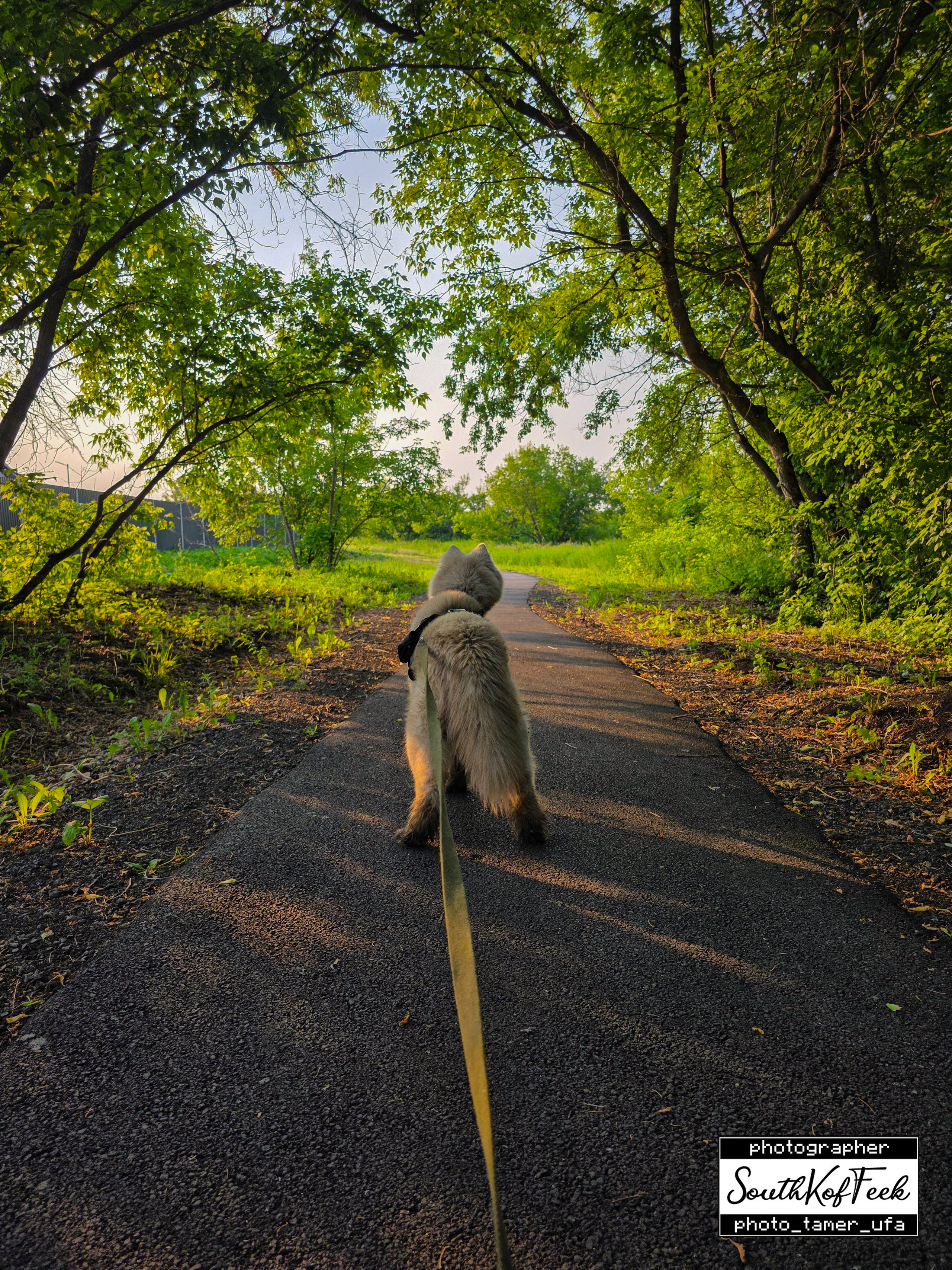 Фотосессии животных. Photo Tamer Ufa