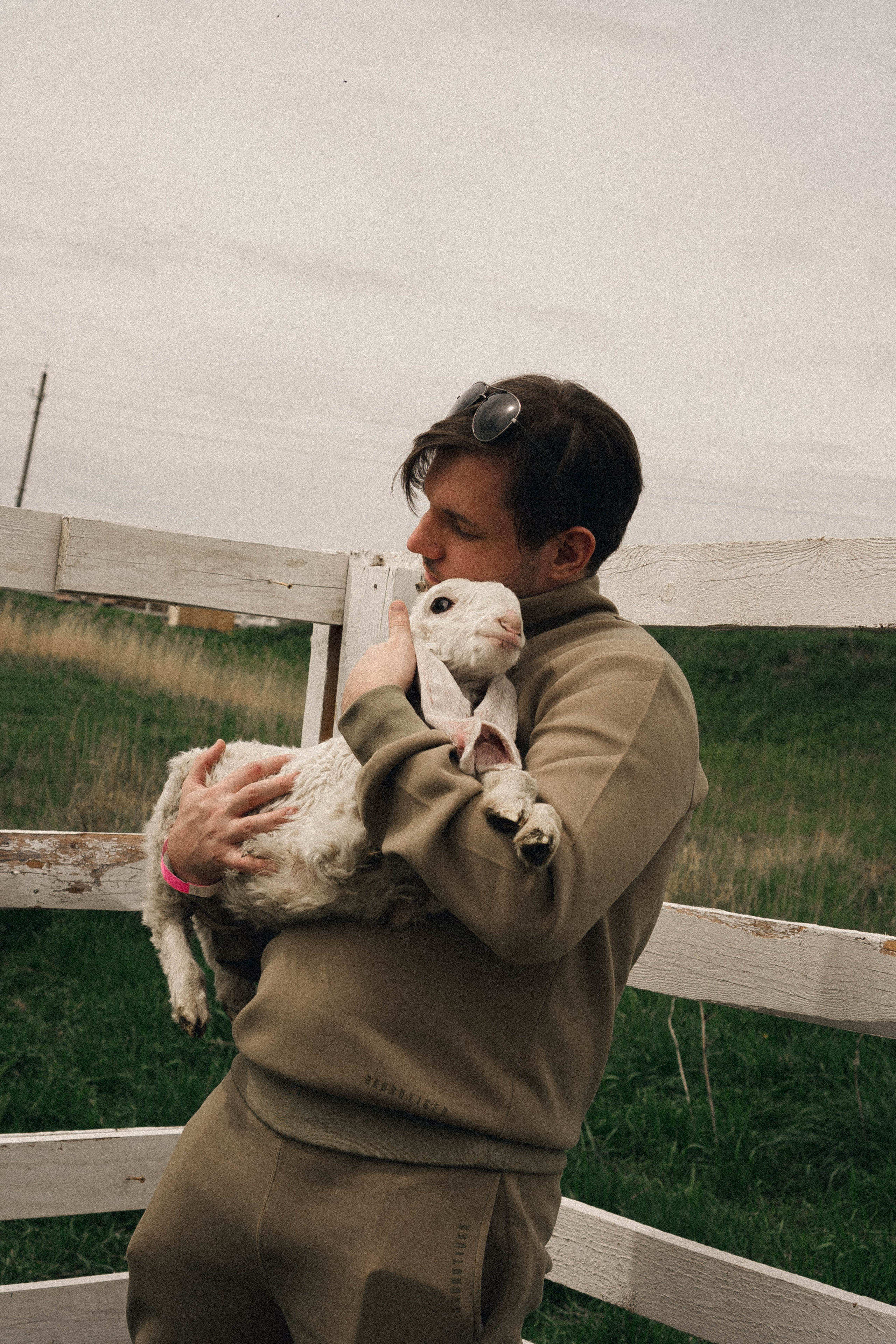 Ферма Альпак. Профессиональный фотограф, Санкт-Петербург — Виктория Богомолова