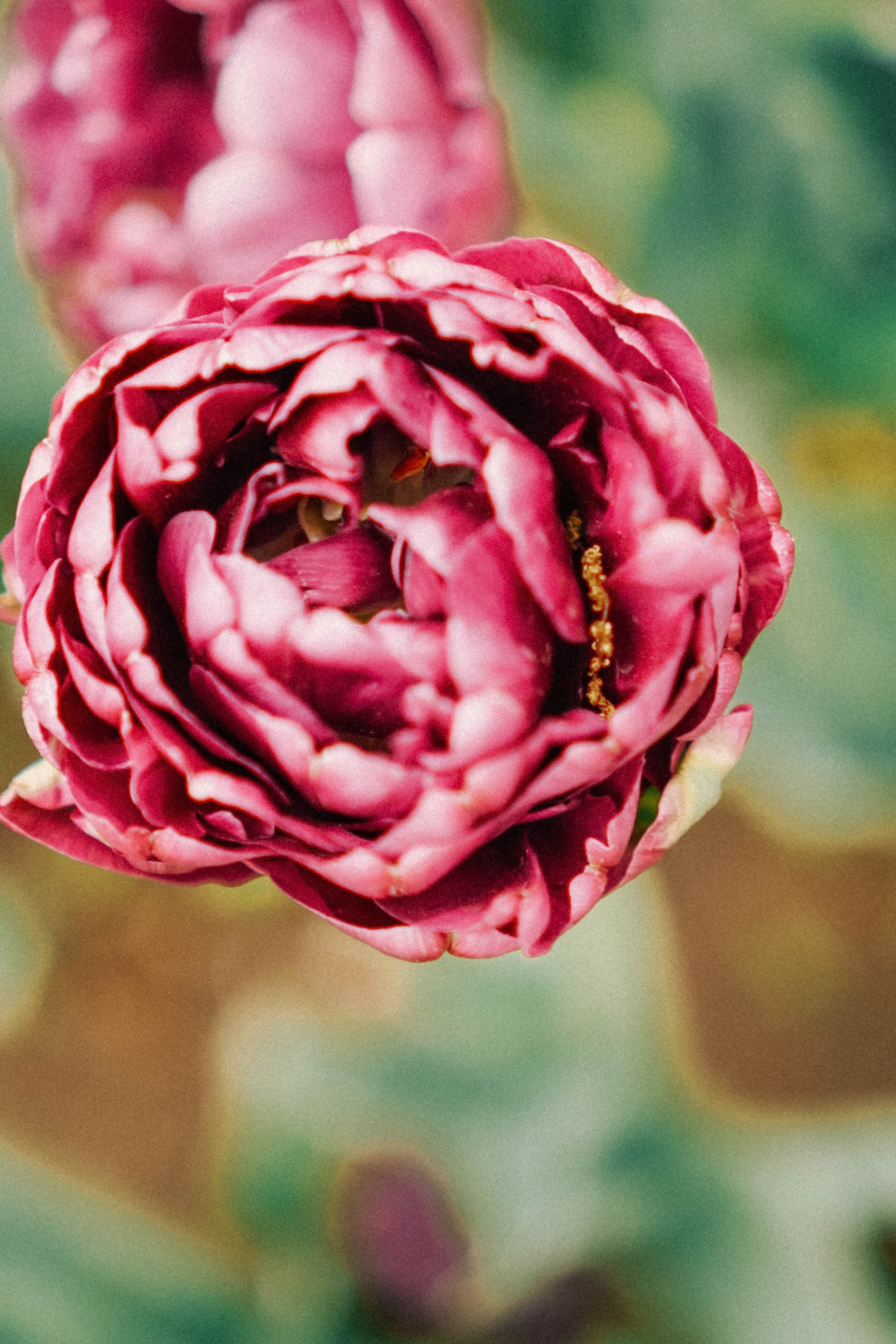 КИСЛОВОДСК. Профессиональный фотограф, Санкт-Петербург — Виктория Богомолова