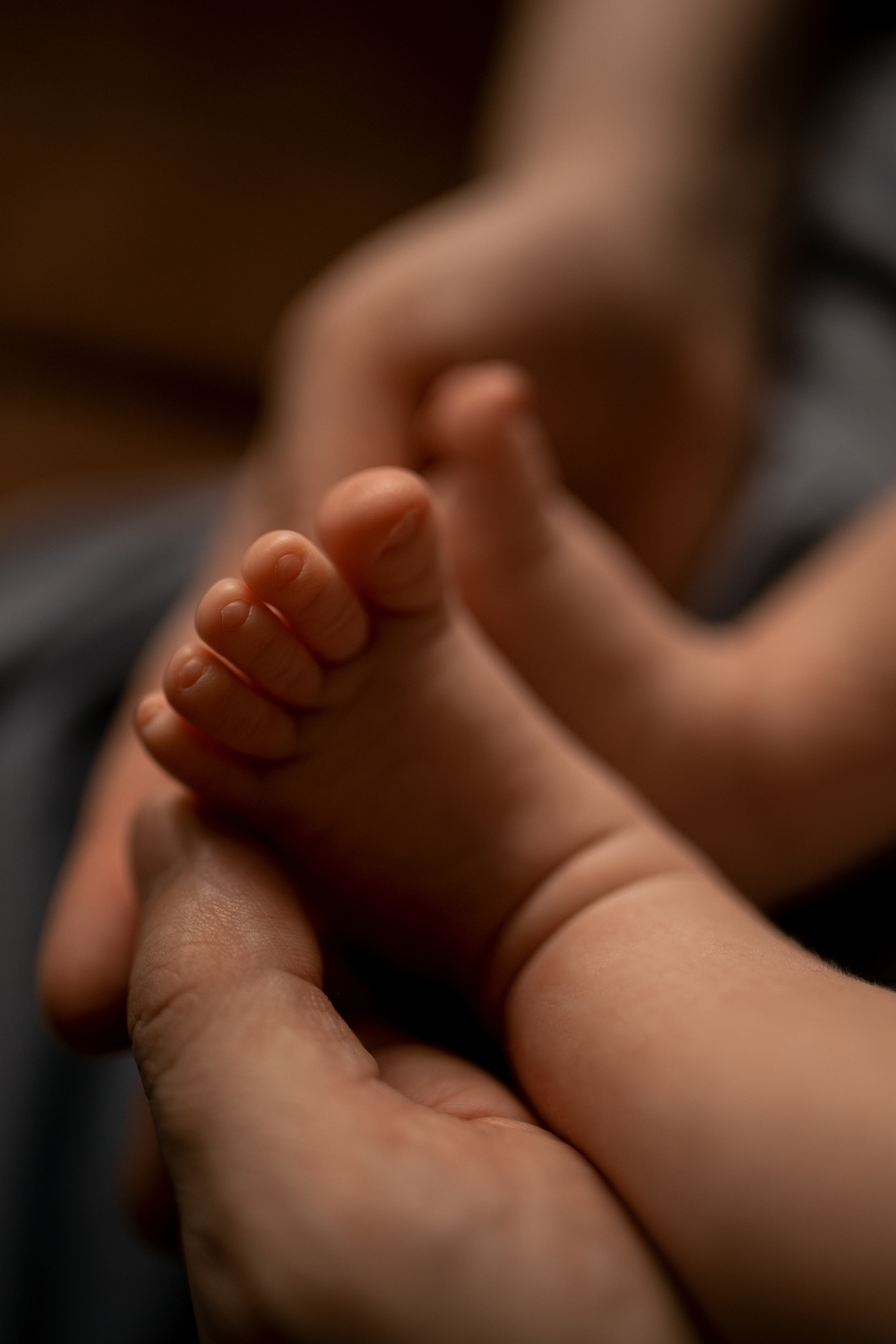 Домашняя фотосъёмка. Женский и семейный фотограф в Перми Шиляева Анастасия