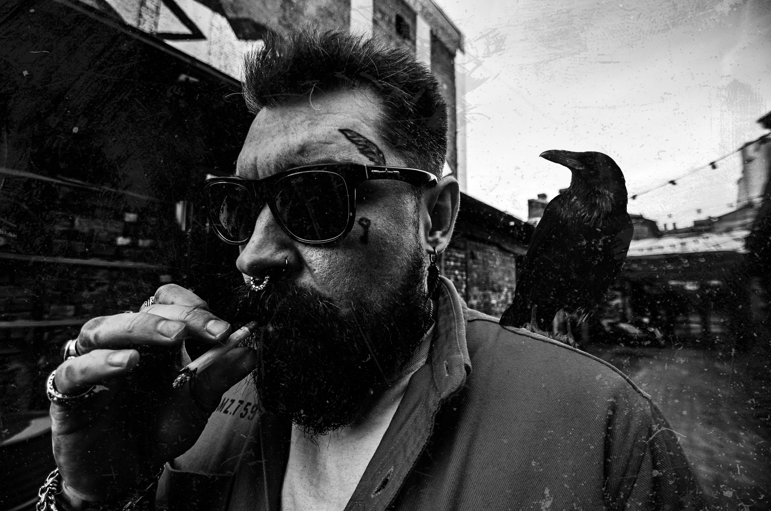 Ворон. ОЧЕНЬ ПЛОХОЙ ФОТОГРАФ