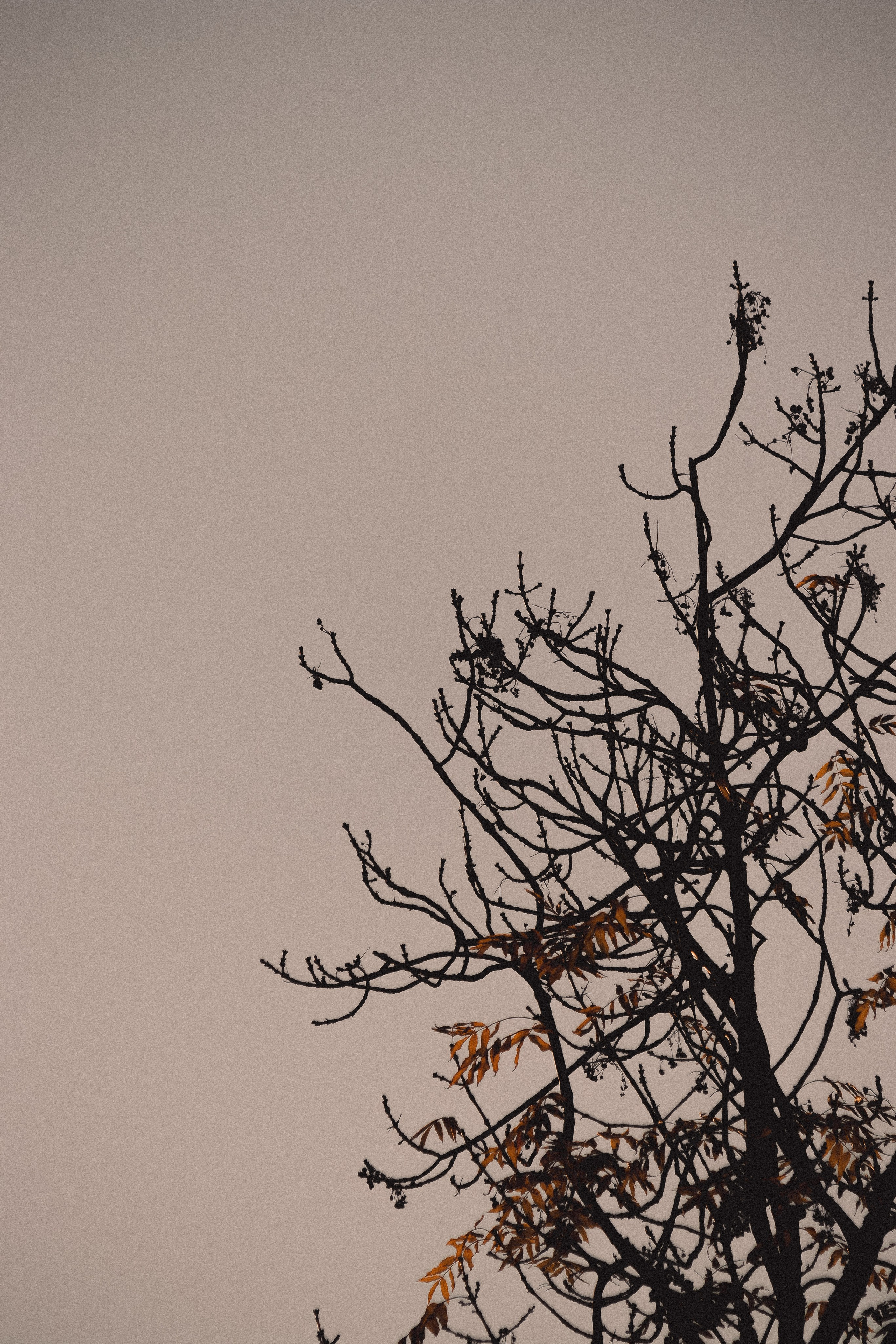 М И Н И М А Л И З М. — Digital Noise —