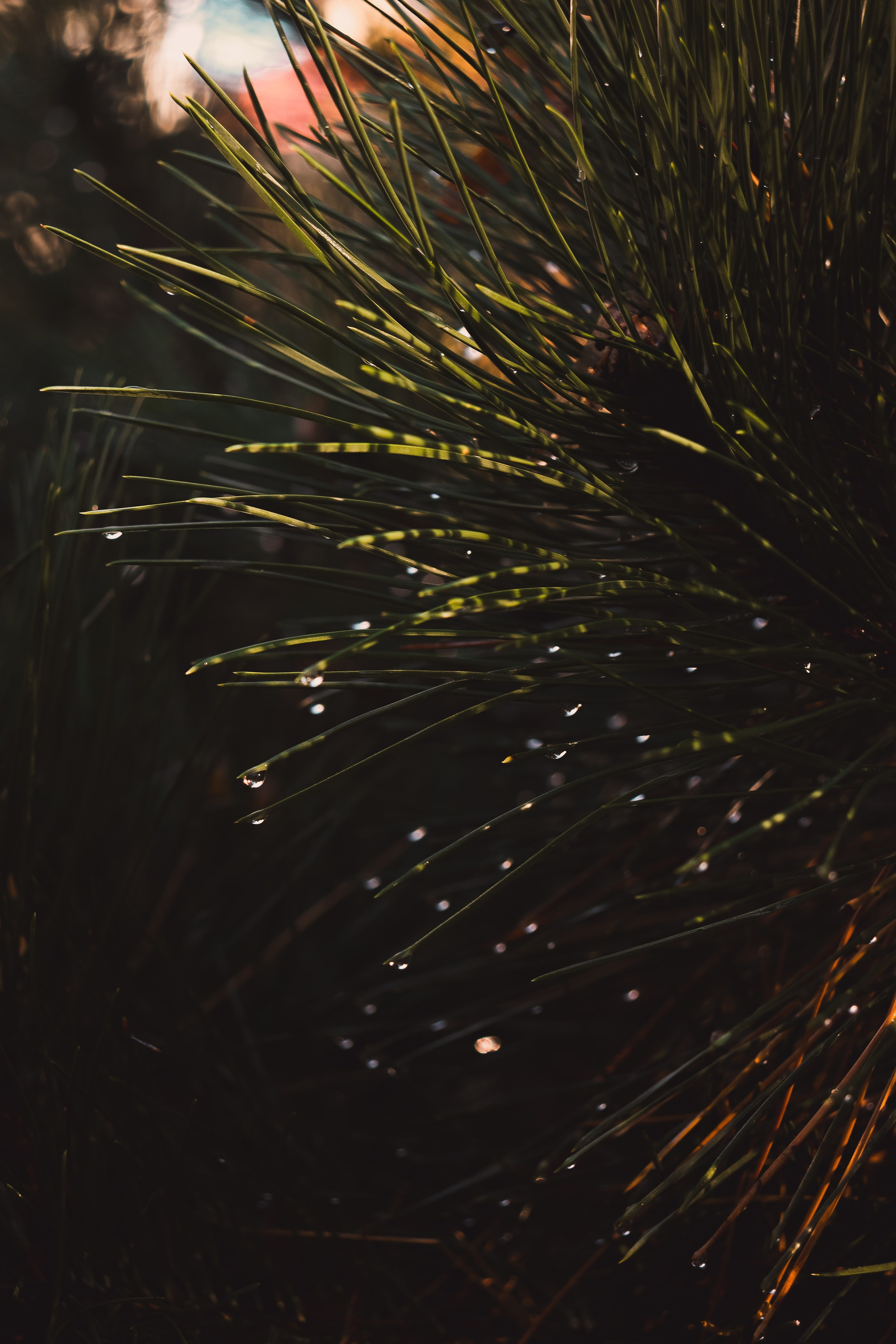 В О Д А. — Digital Noise —