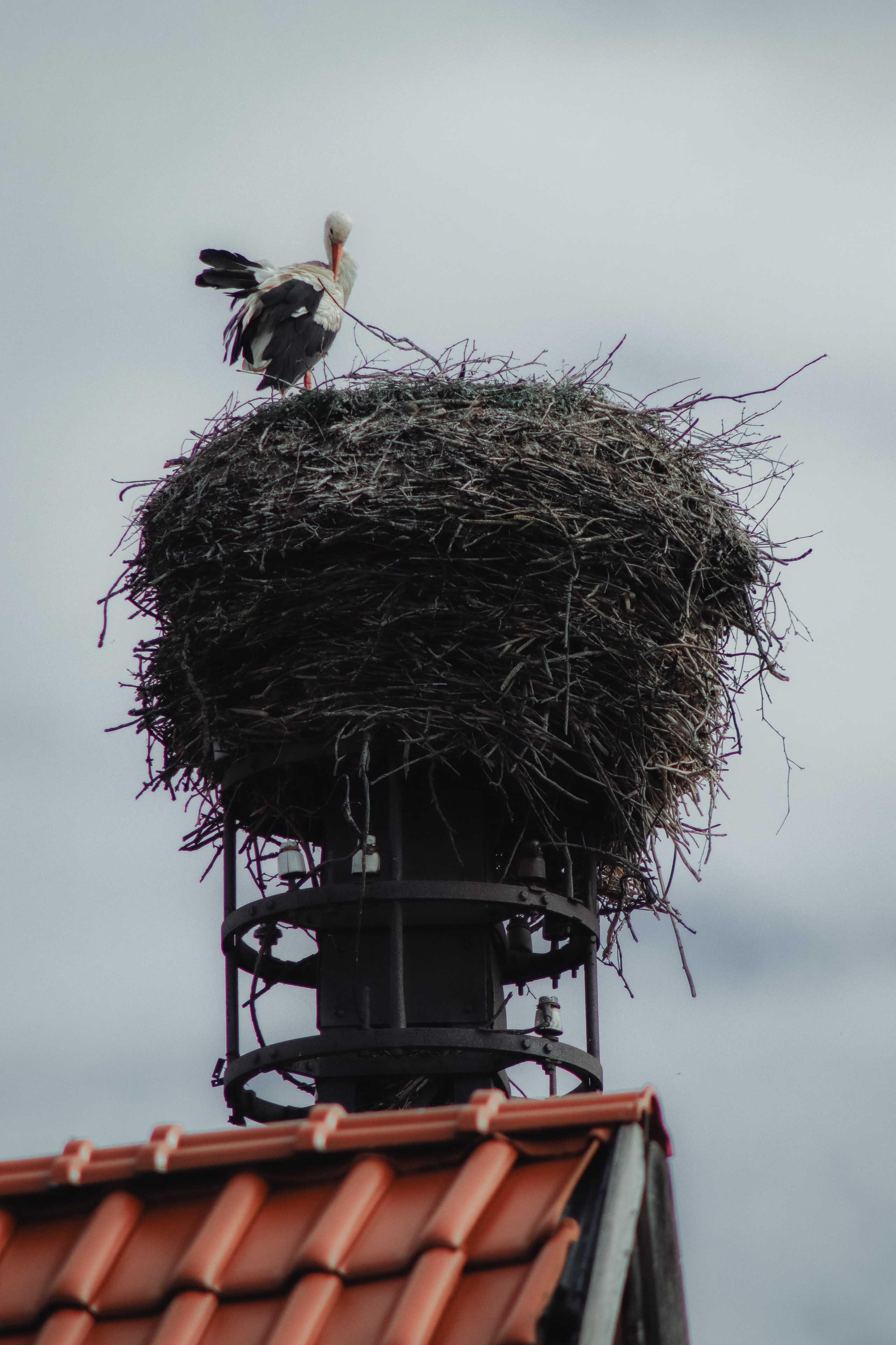 Р А З Н А Я — Ж И В Н О С Т Ь. — Digital Noise —