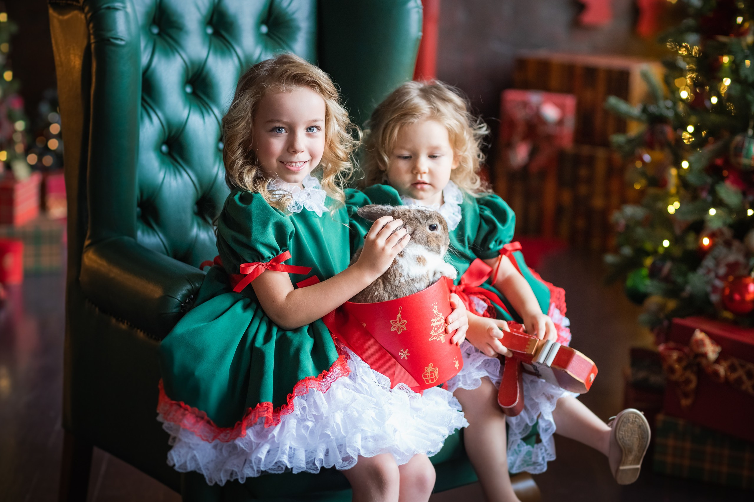 НГ ПФ Леонардо