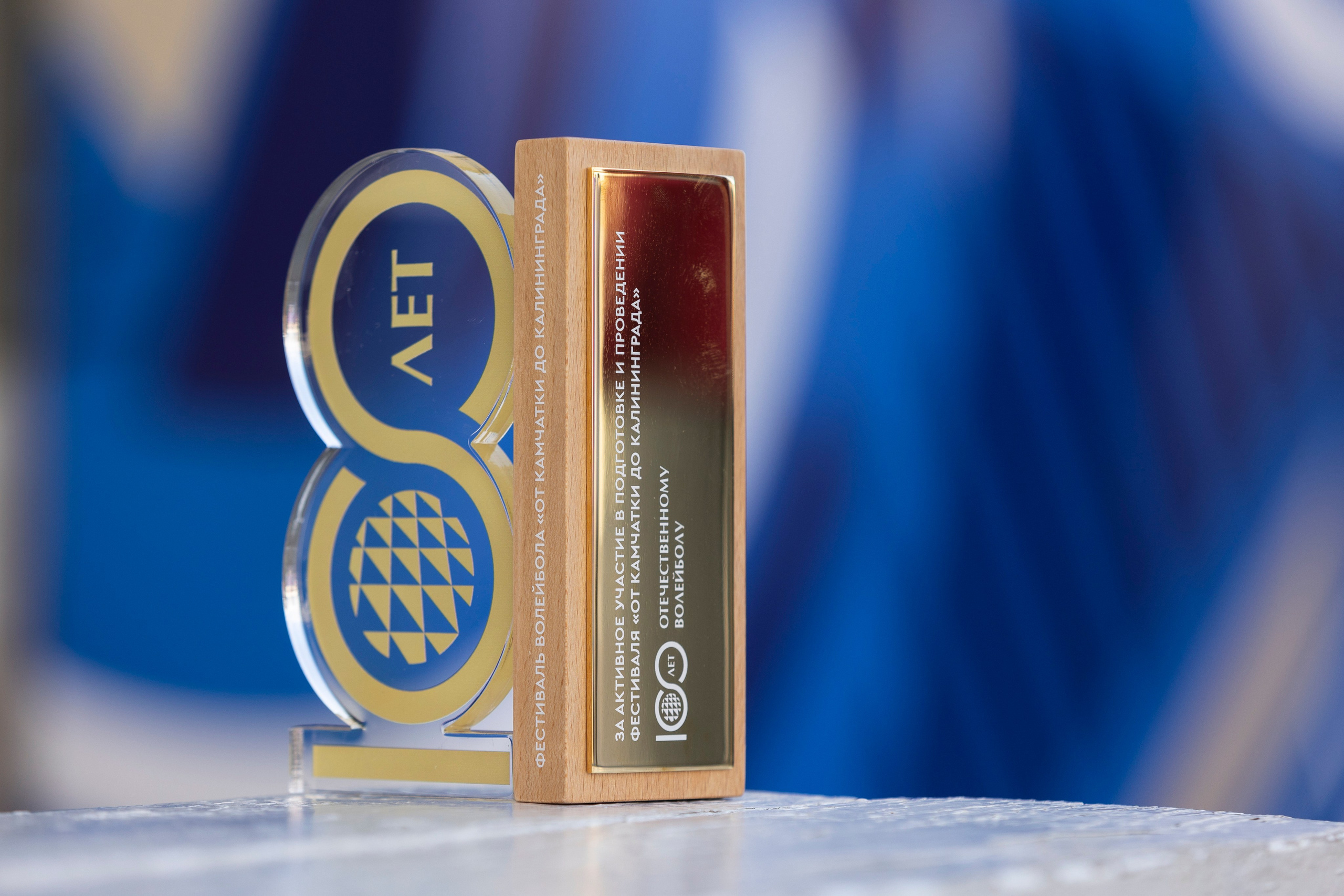 100 ЛЕТ ОТЕЧЕСТВЕННОМУ ВОЛЕЙБОЛУ. Фотограф Георгий Нигматулин