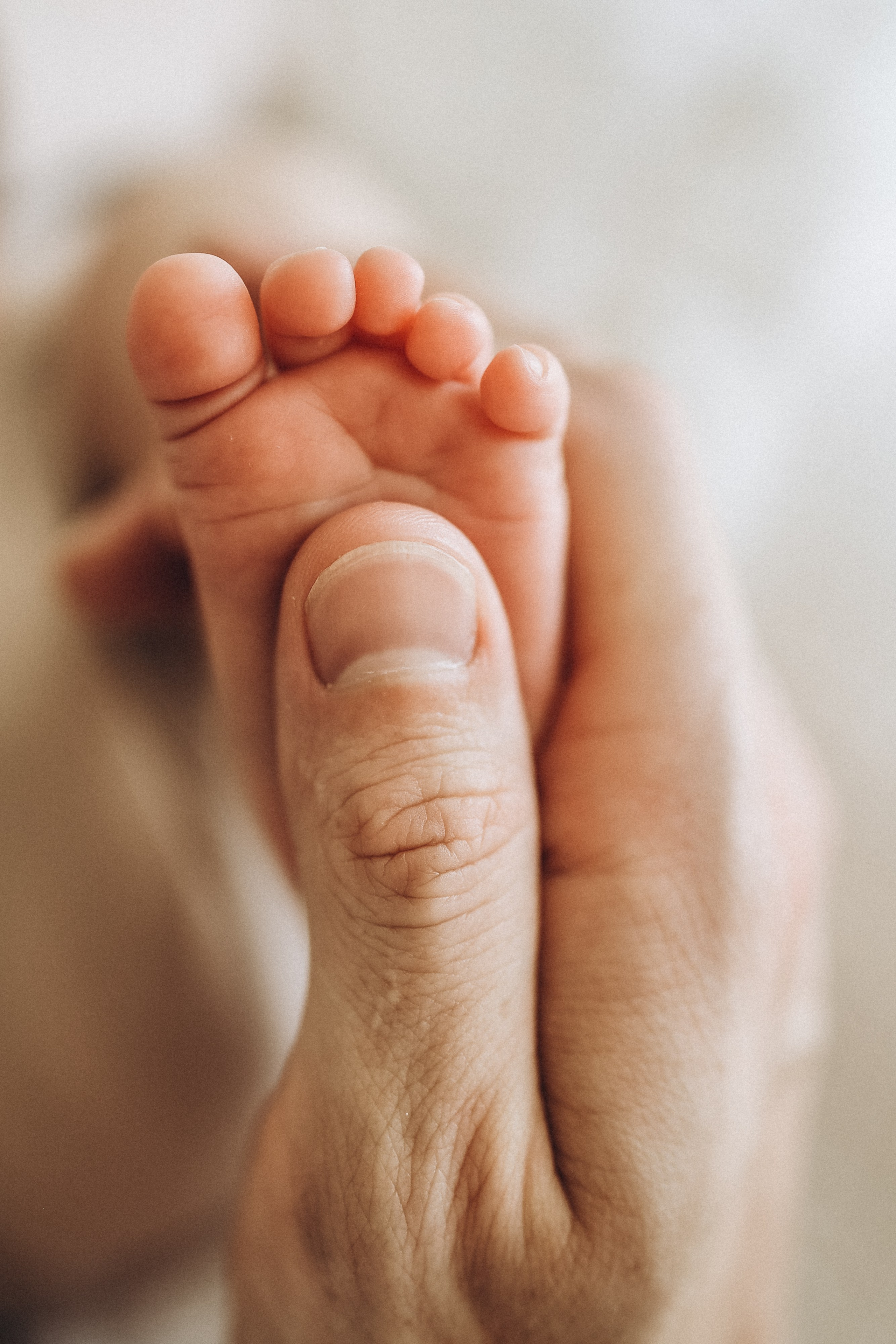 Семейные. Семейный фотограф и фотограф новорожденных в Санкт-Петербурге Алевтина