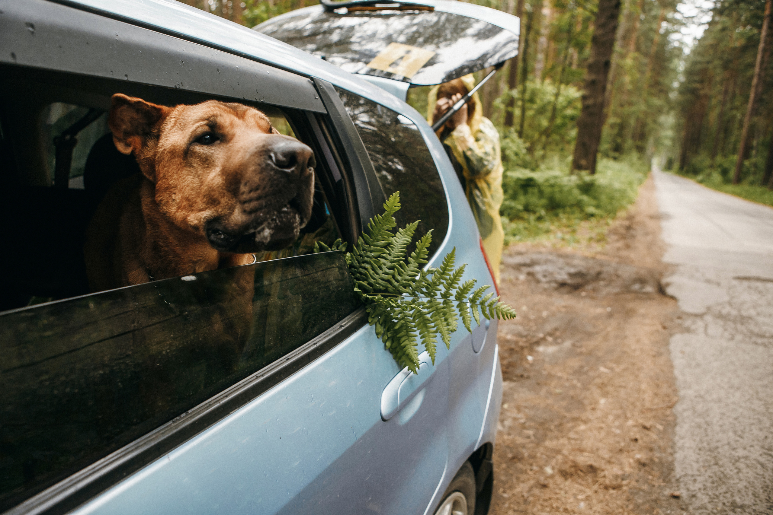 Love Story. Свадебный фотограф в Новосибирске Анастасия Бантик