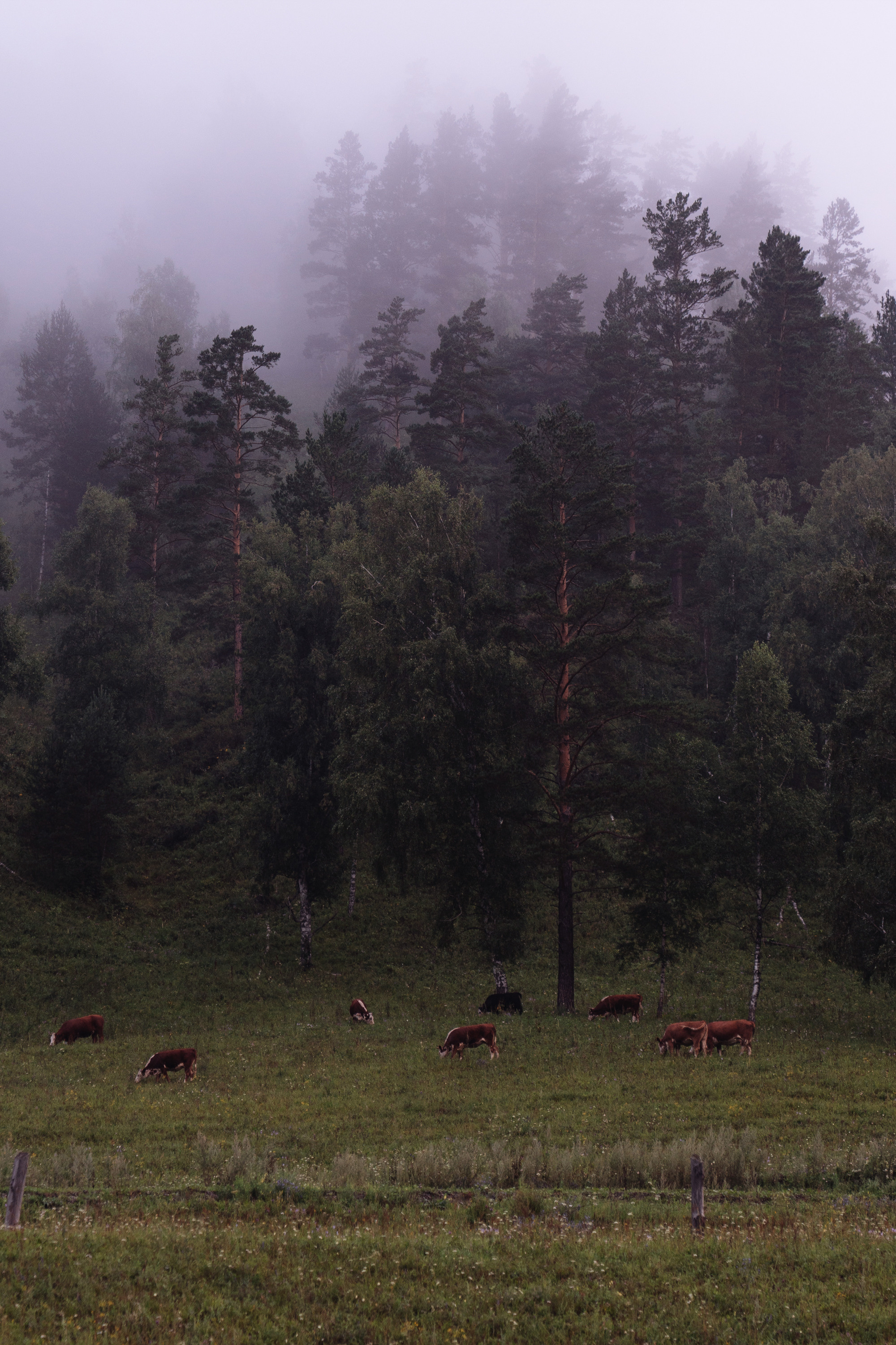 EQUIUM Altai Retreat