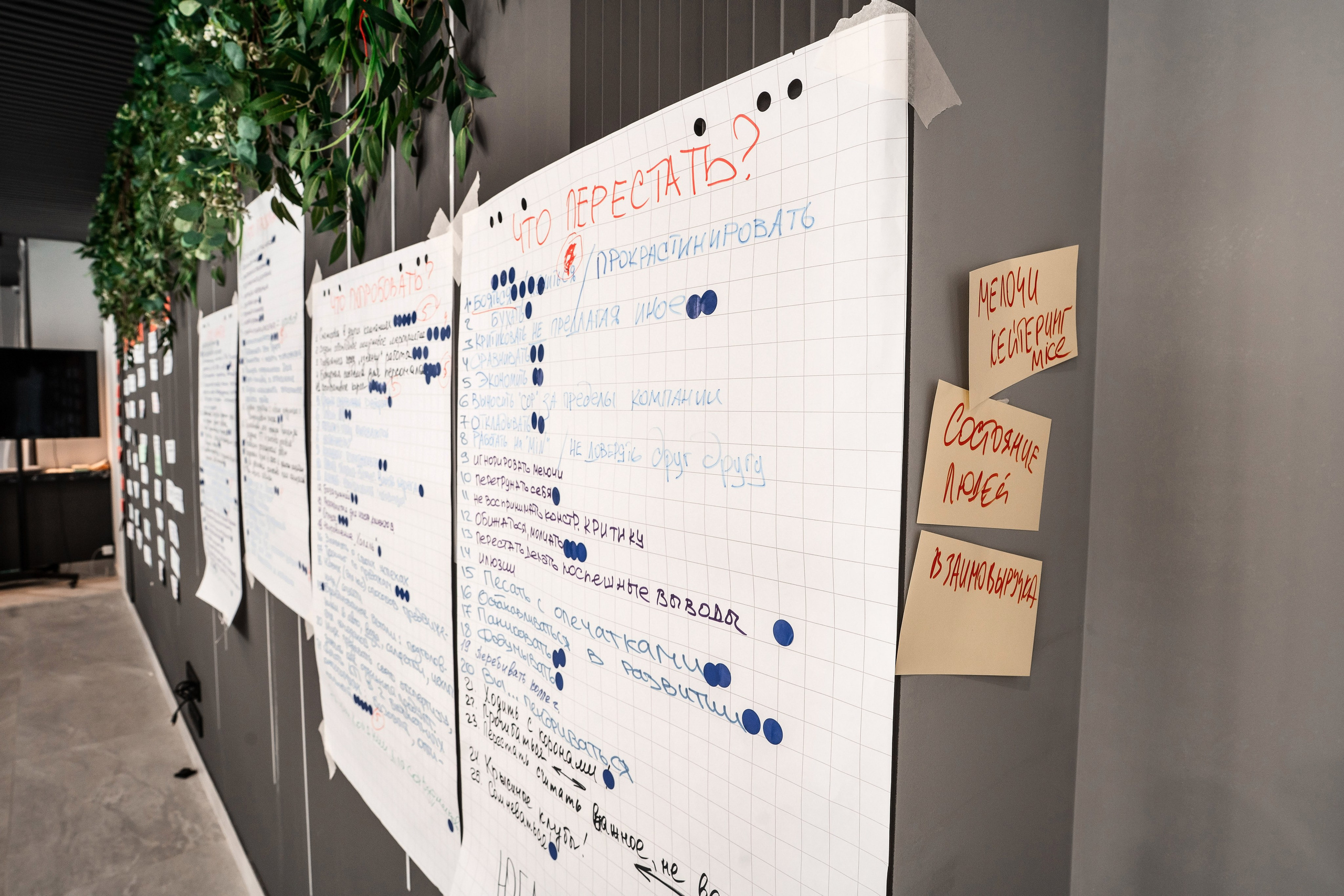 Фотограф репортаж кейтеринг Сочи. Фотограф Сочи