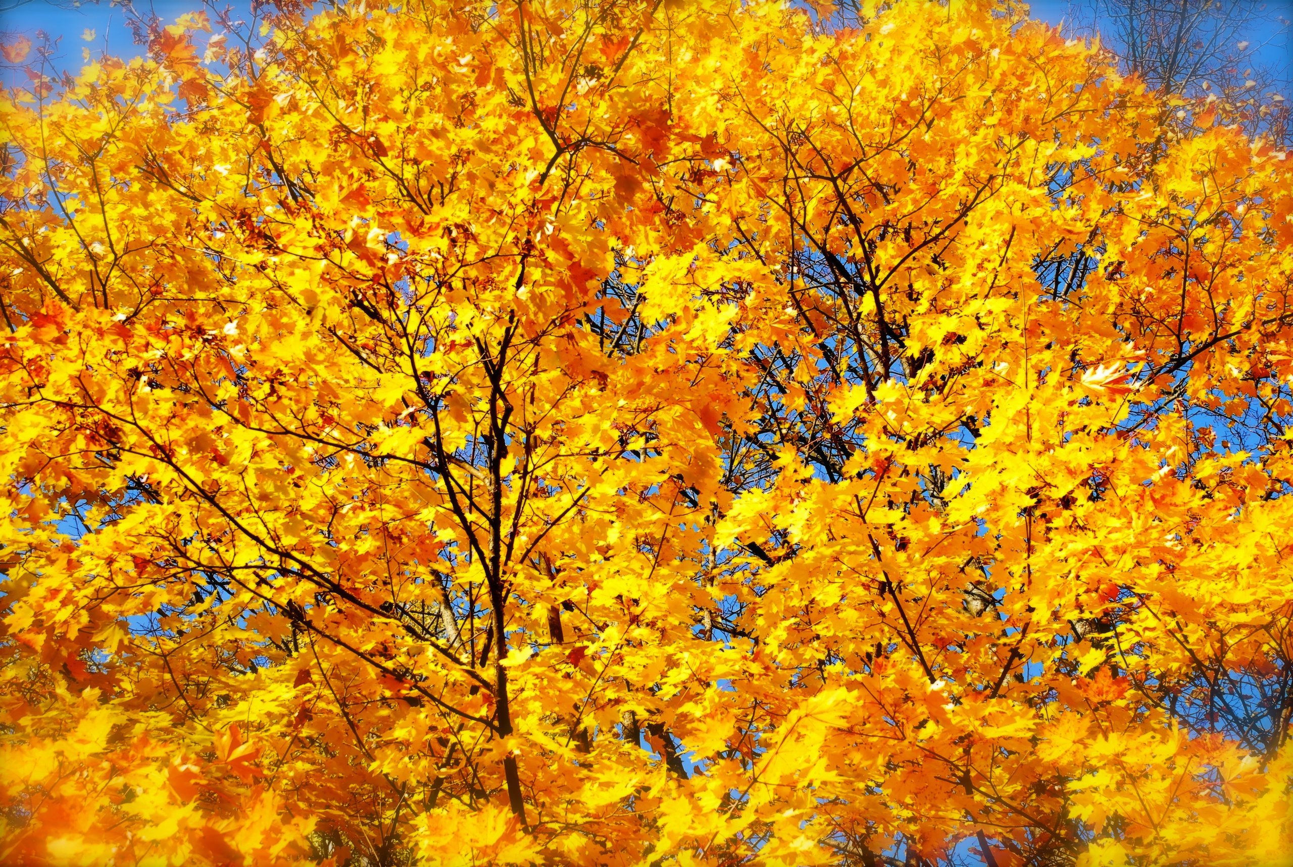 Пейзажи — авторская художественная фотография Ма. Ма