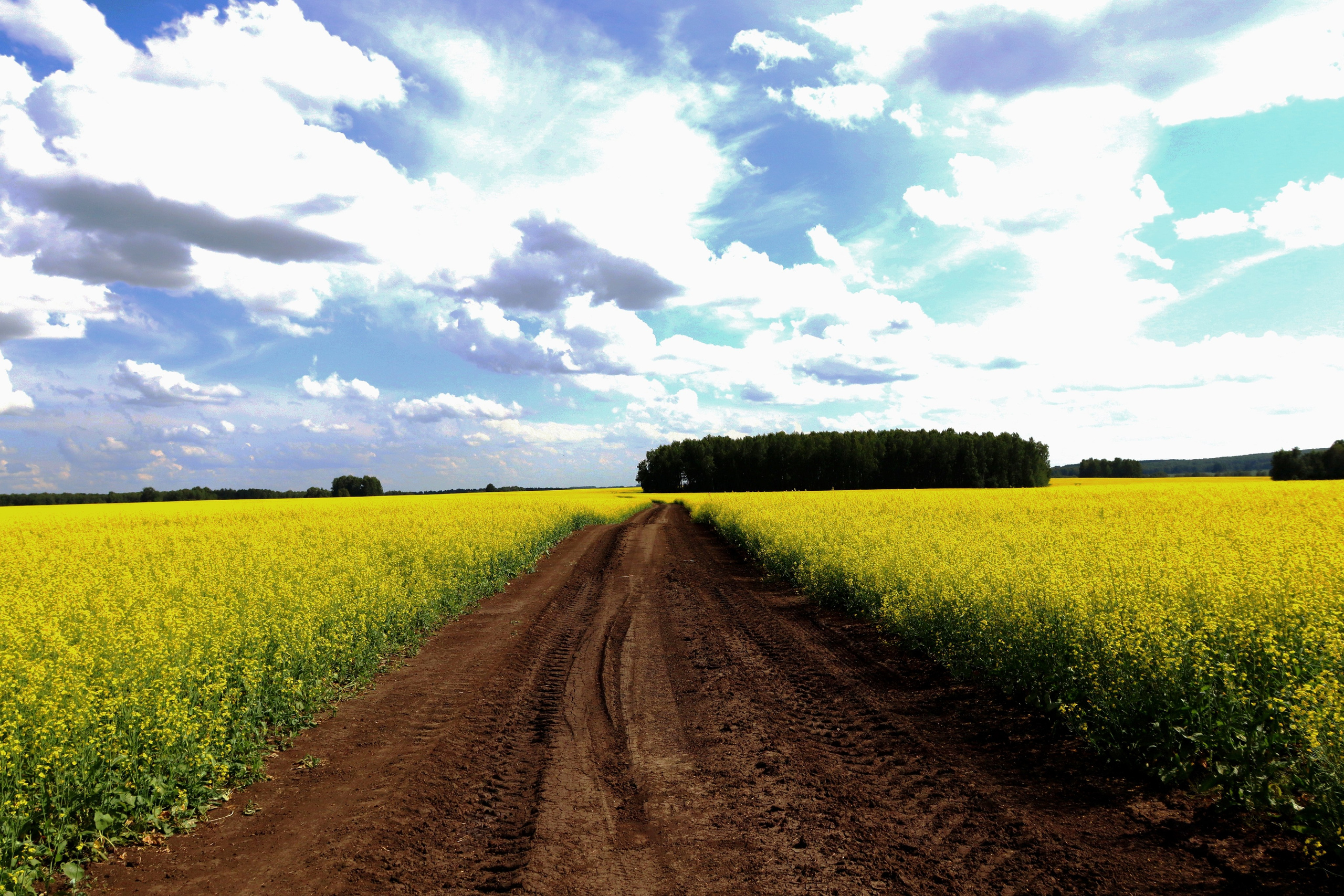 Город, пейзажи