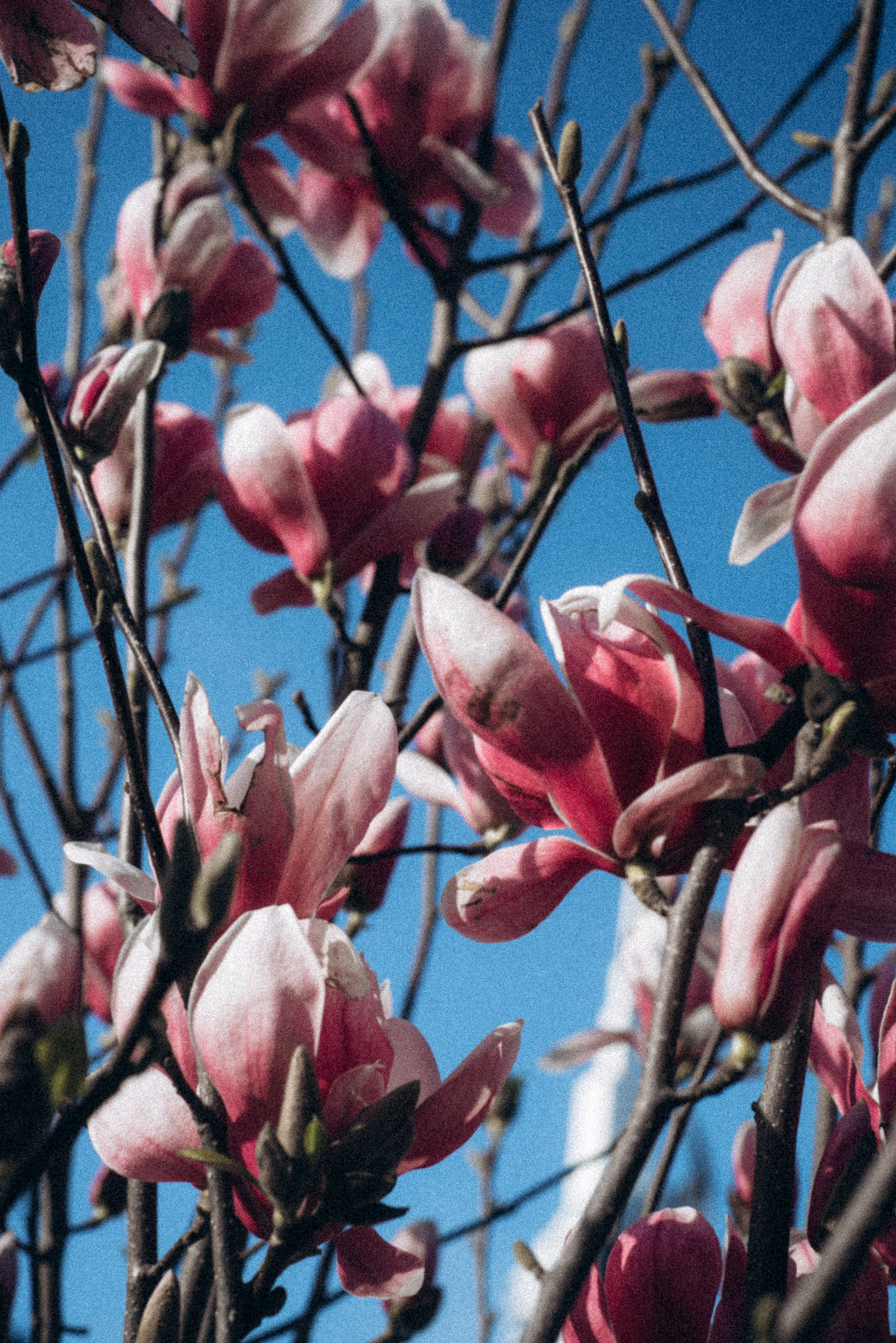 Батуми, Грузия🇬🇪. Anita_photo