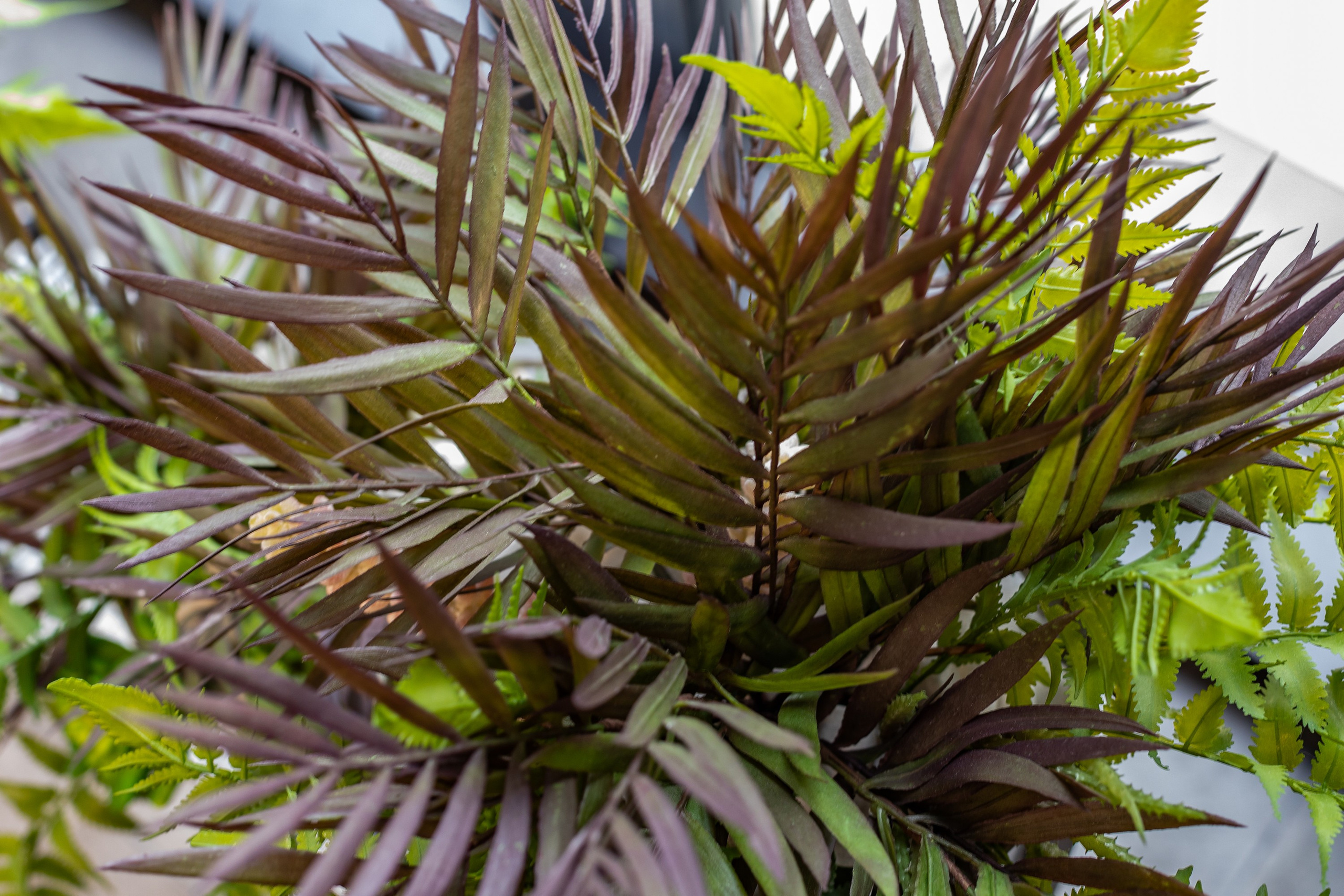 Салон Красоты Плющ. Интерьерный фотограф в Москве Роман Потапов