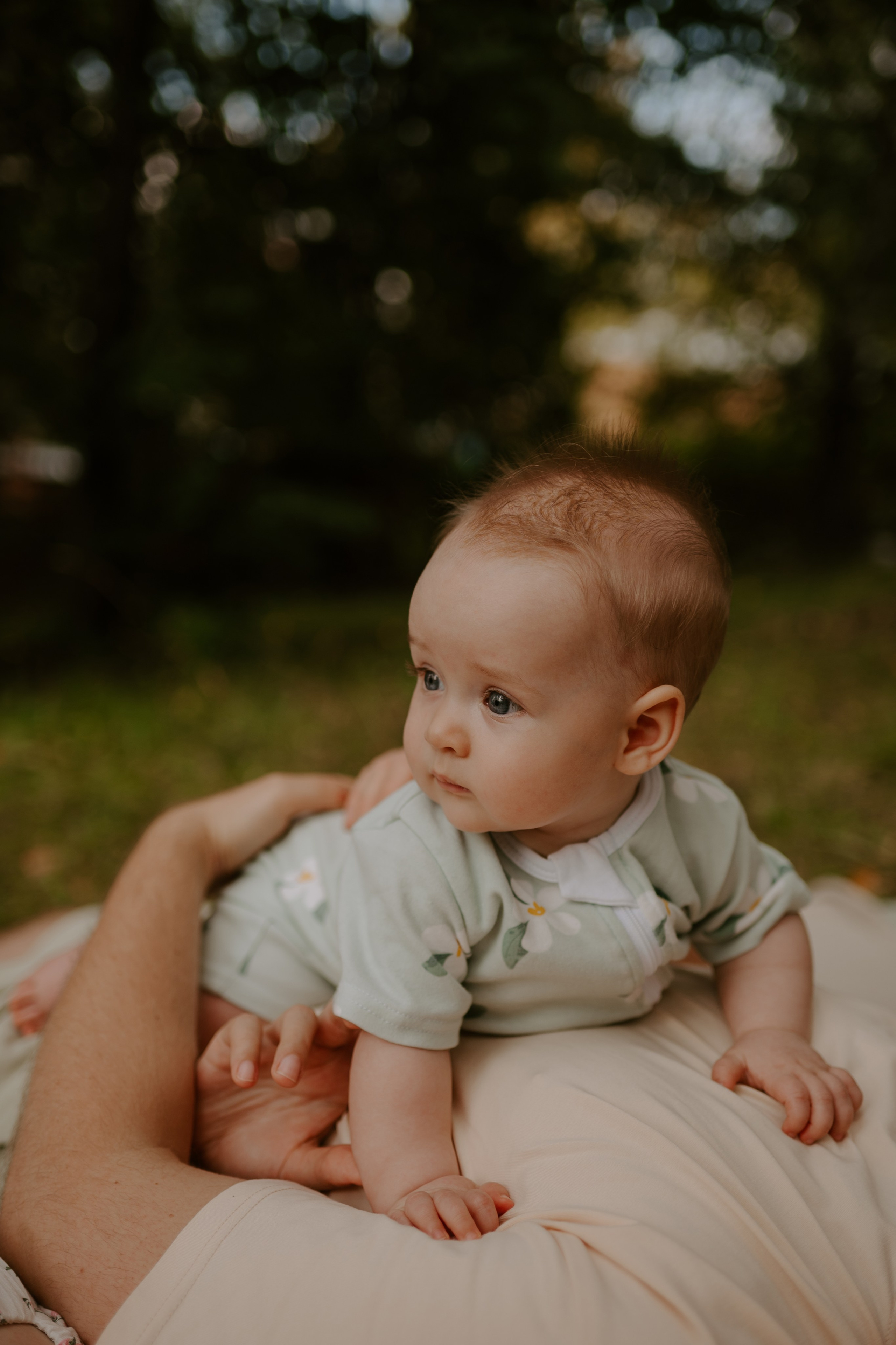 Пикничок втроем. Свадебный, репортажный и семейный фотограф в Москве Арина Зак