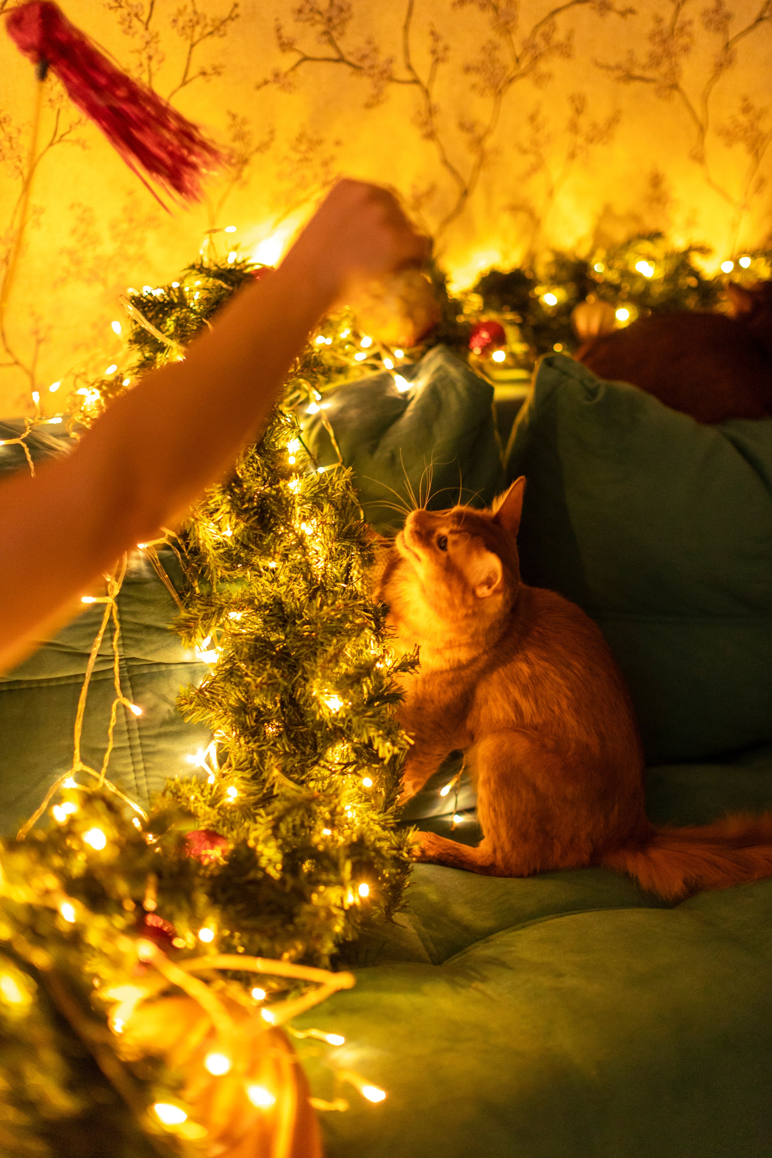 Сомали. Art my Pho