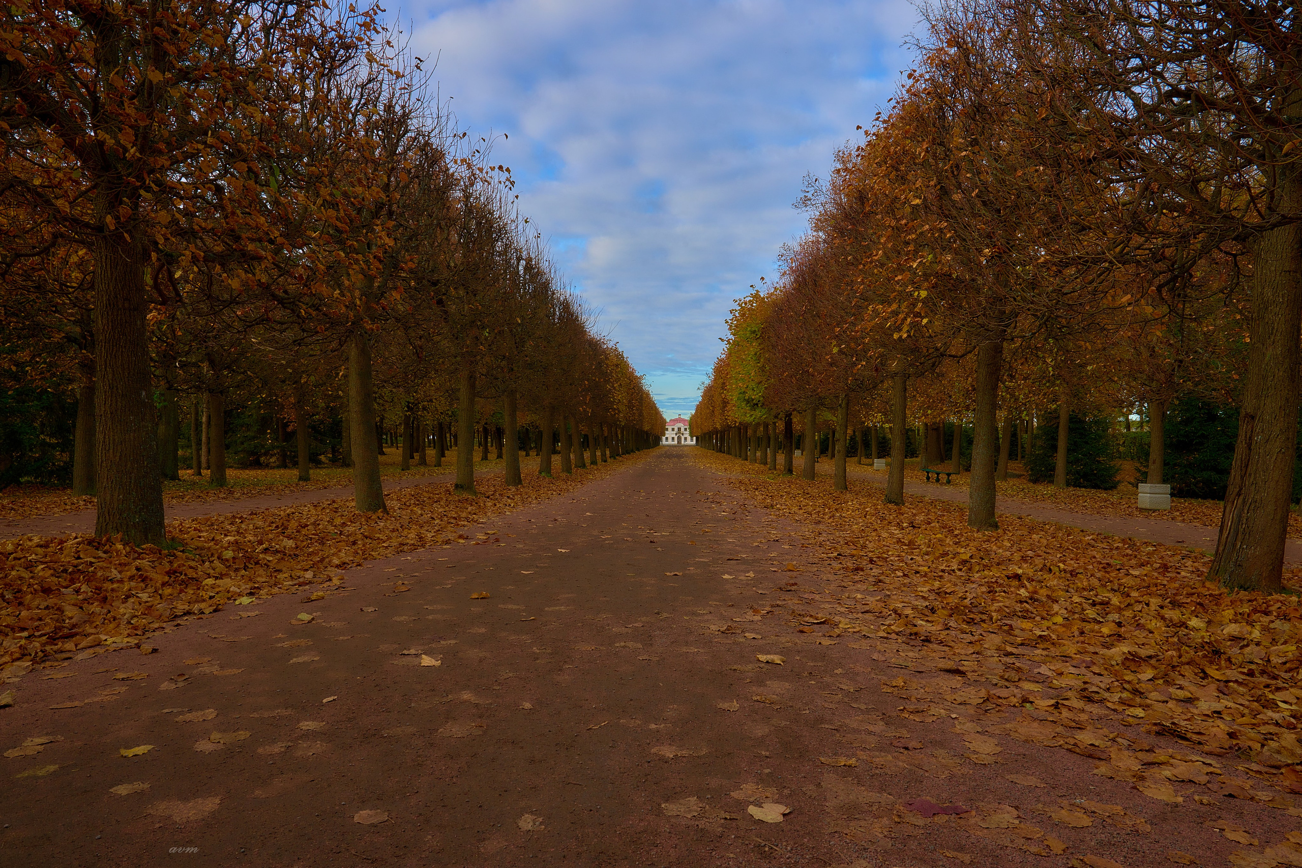 Петергоф. Фотограф Михеев Андрей
