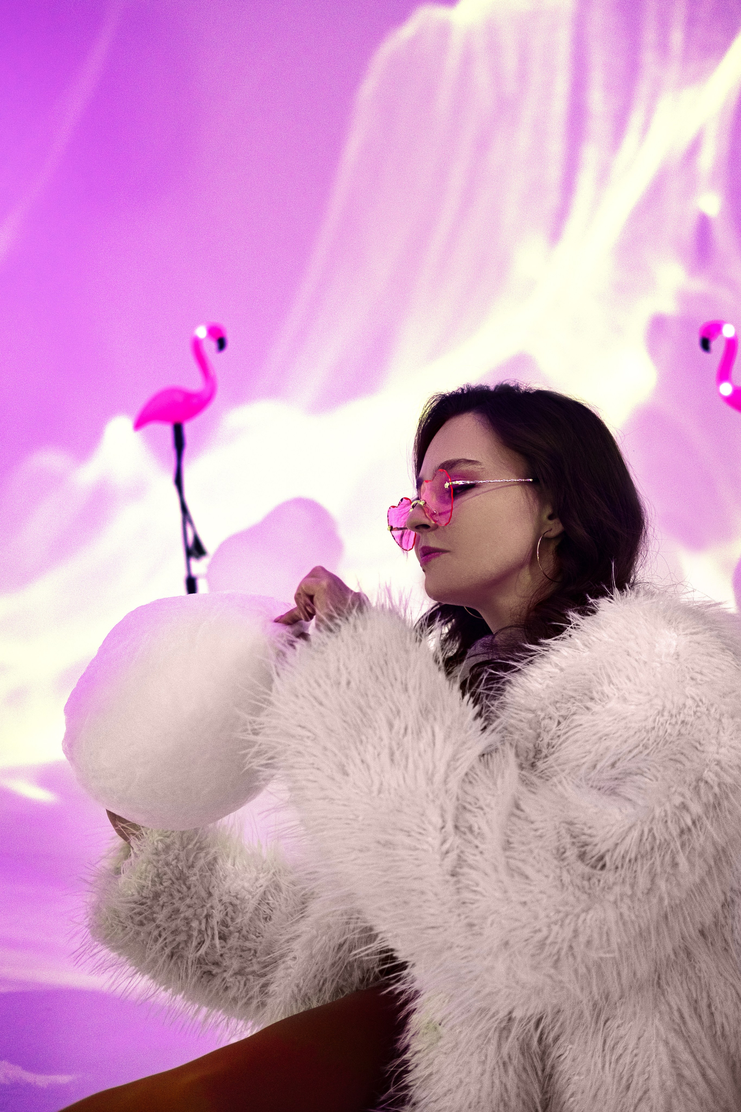 Розовый фламинго. Лиза Рязанцева