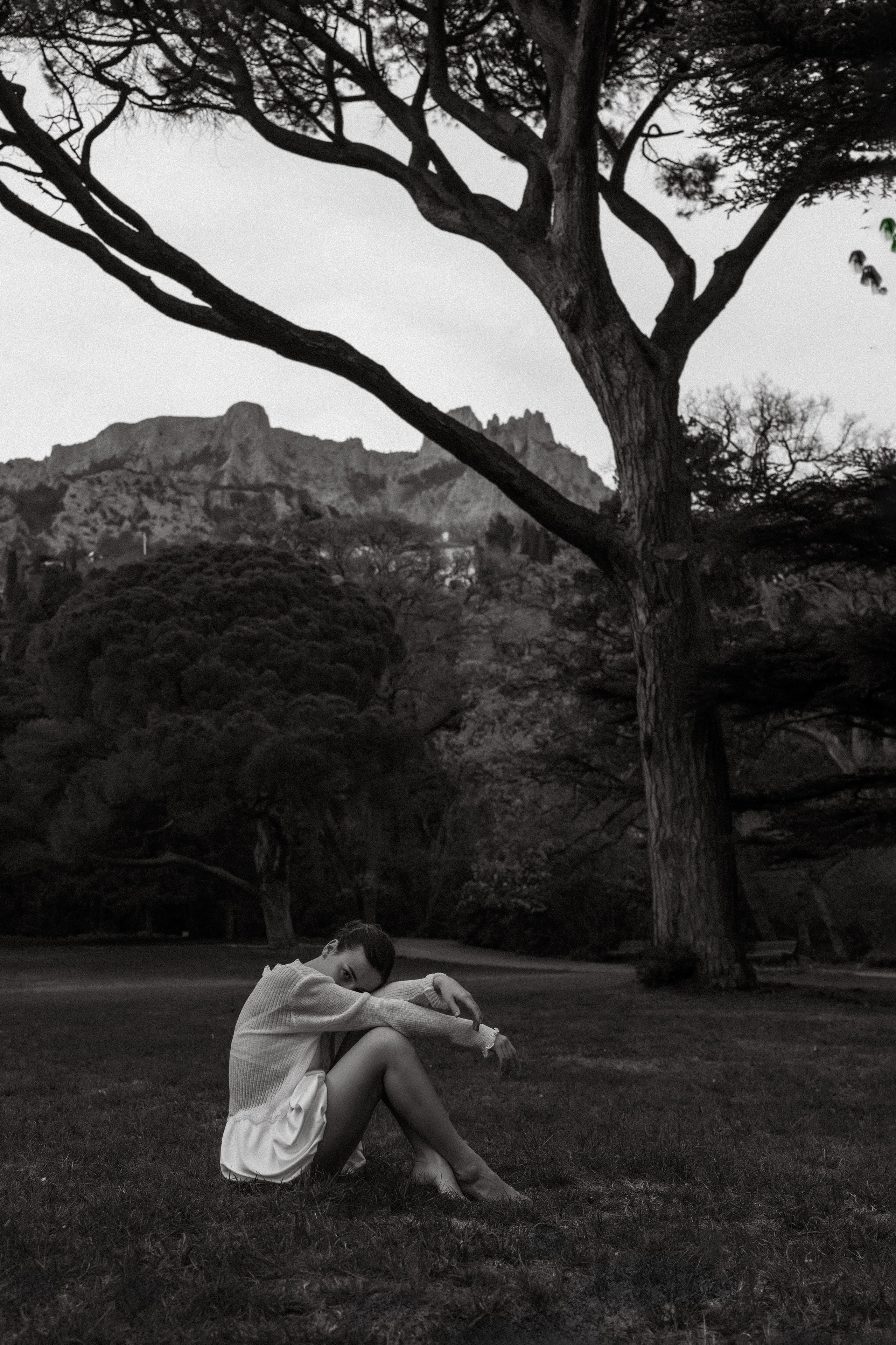 Под кроной вечности. Фотограф и Видеограф Севастополь Крым