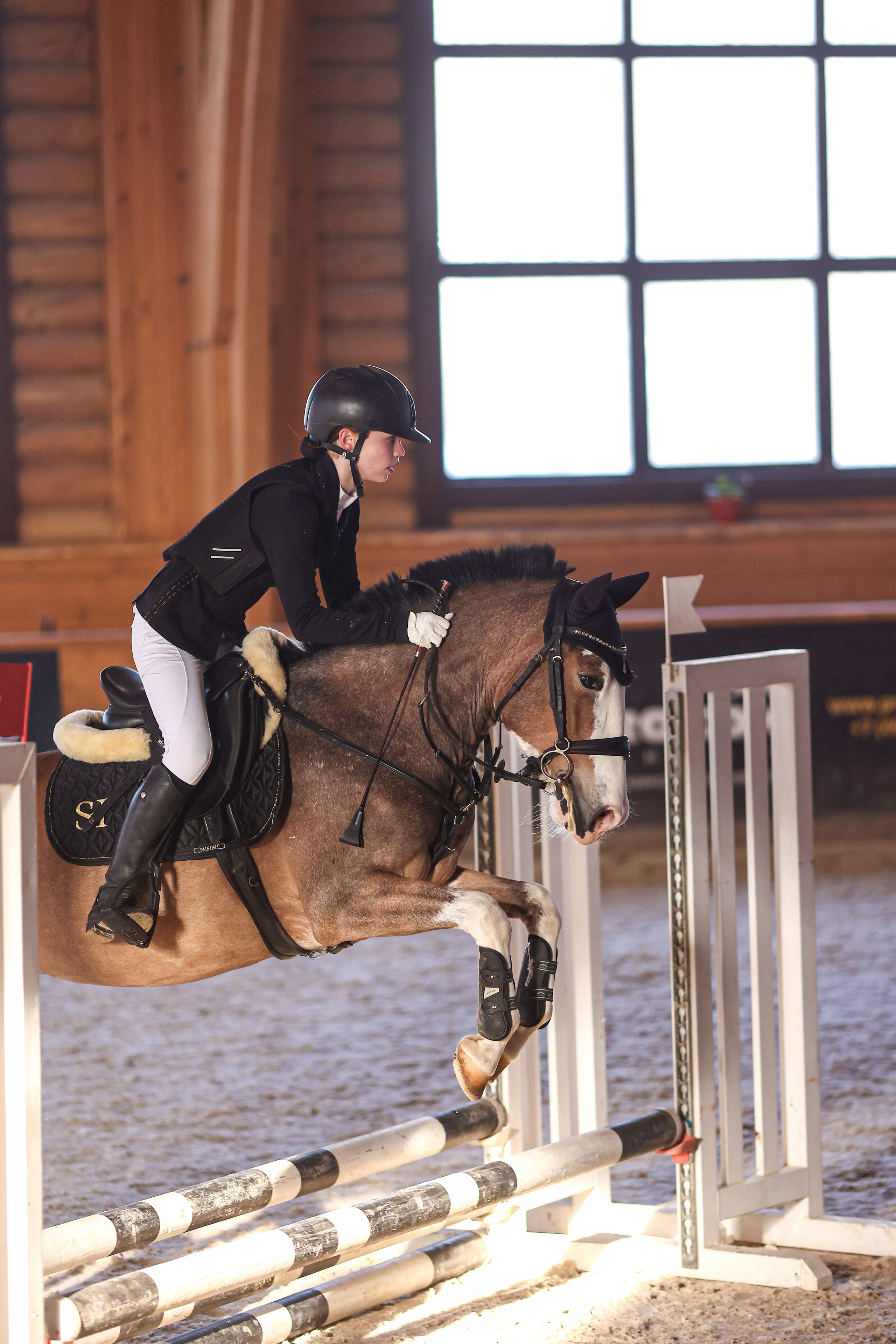 Зимние соревнования. Фотосессии с лошадьми