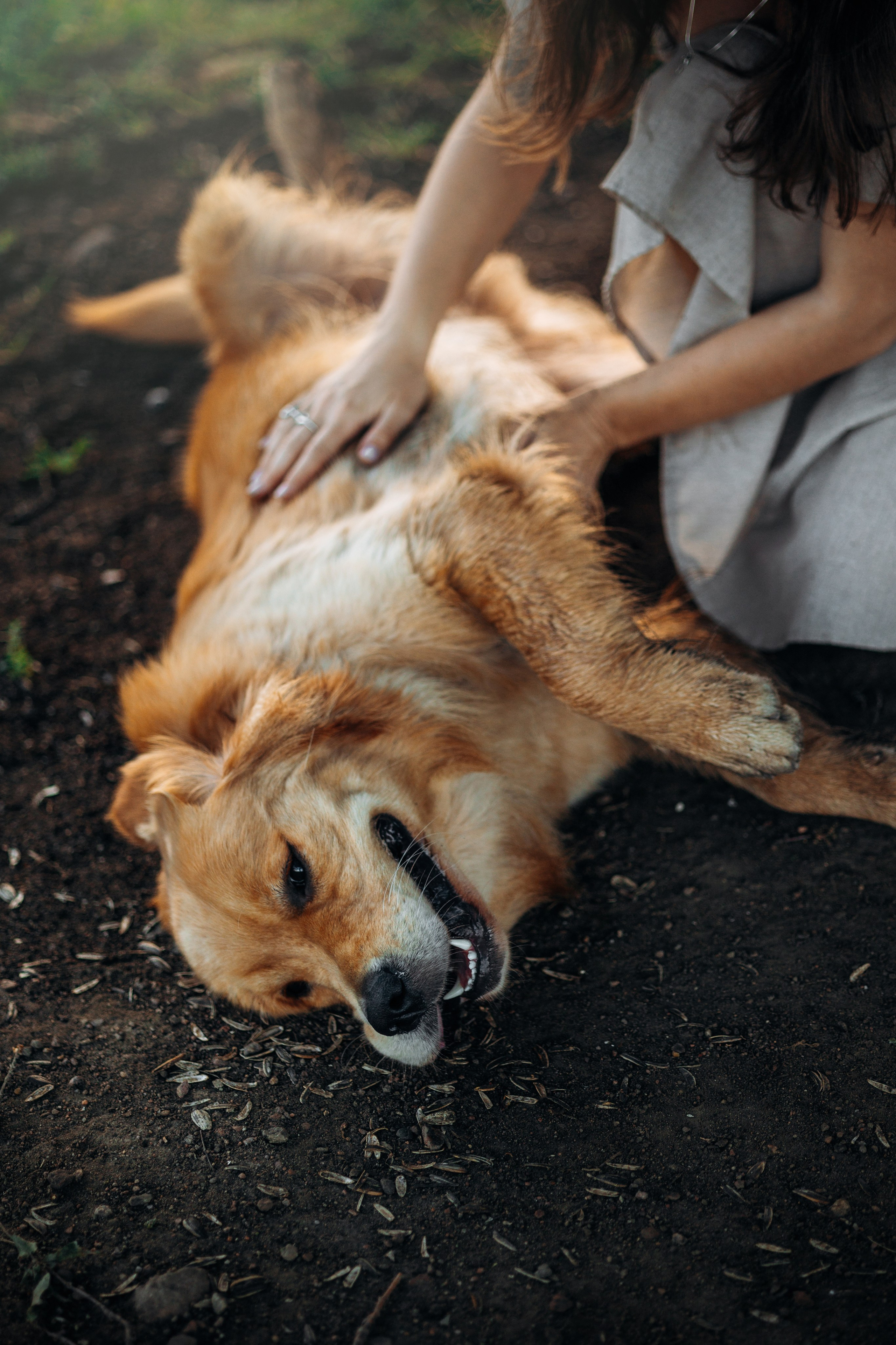 Аня и Ноллан. Фотограф — Анималист | Санкт-Петербург