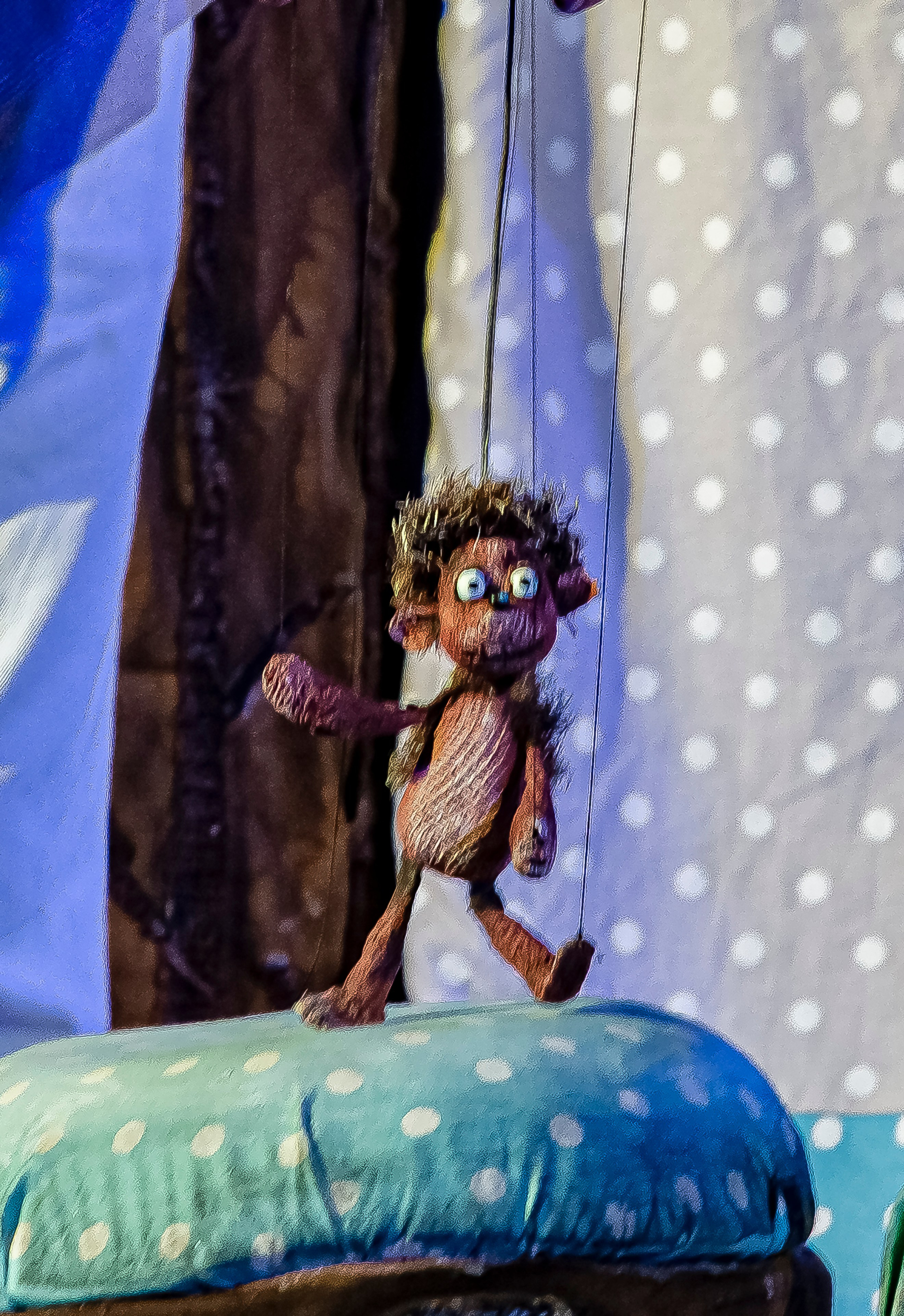 Колючая сказка. Фотограф в Сочи Юрий Шептаев